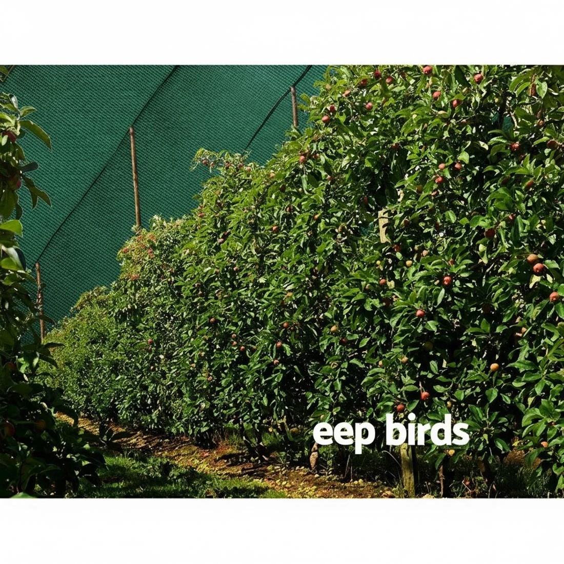 5 Instahut 30% Shade Cloth 1.83x10m Shadecloth Wide Heavy Duty - Green, 5 of 5