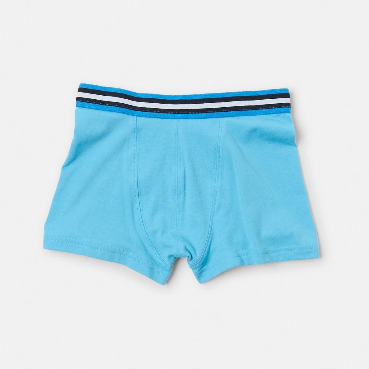 4 7 Pack Attached Elastic Trunks BLUES STRIPE, 4 of 10