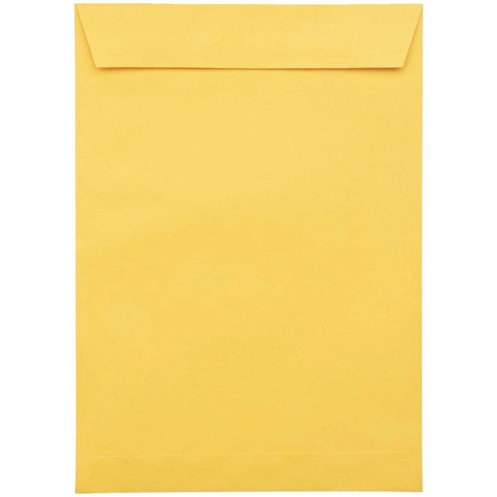 3 PPS Plainface C4 Envelopes Gold 100 Pack, 3 of 4