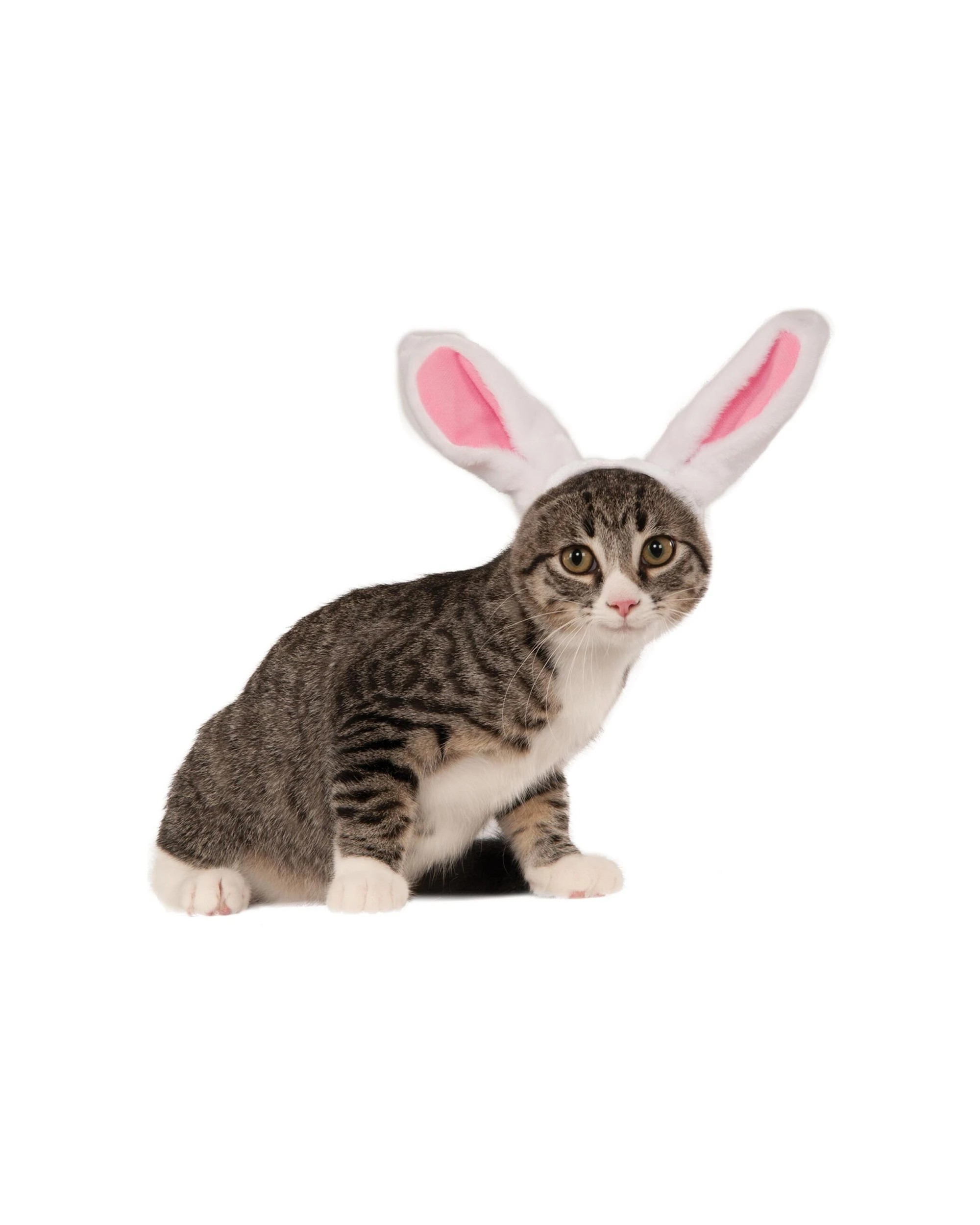 2 Rubies Bunny Ears Pet Accessory Dog Cat Size M L - Multi, 2 of 2