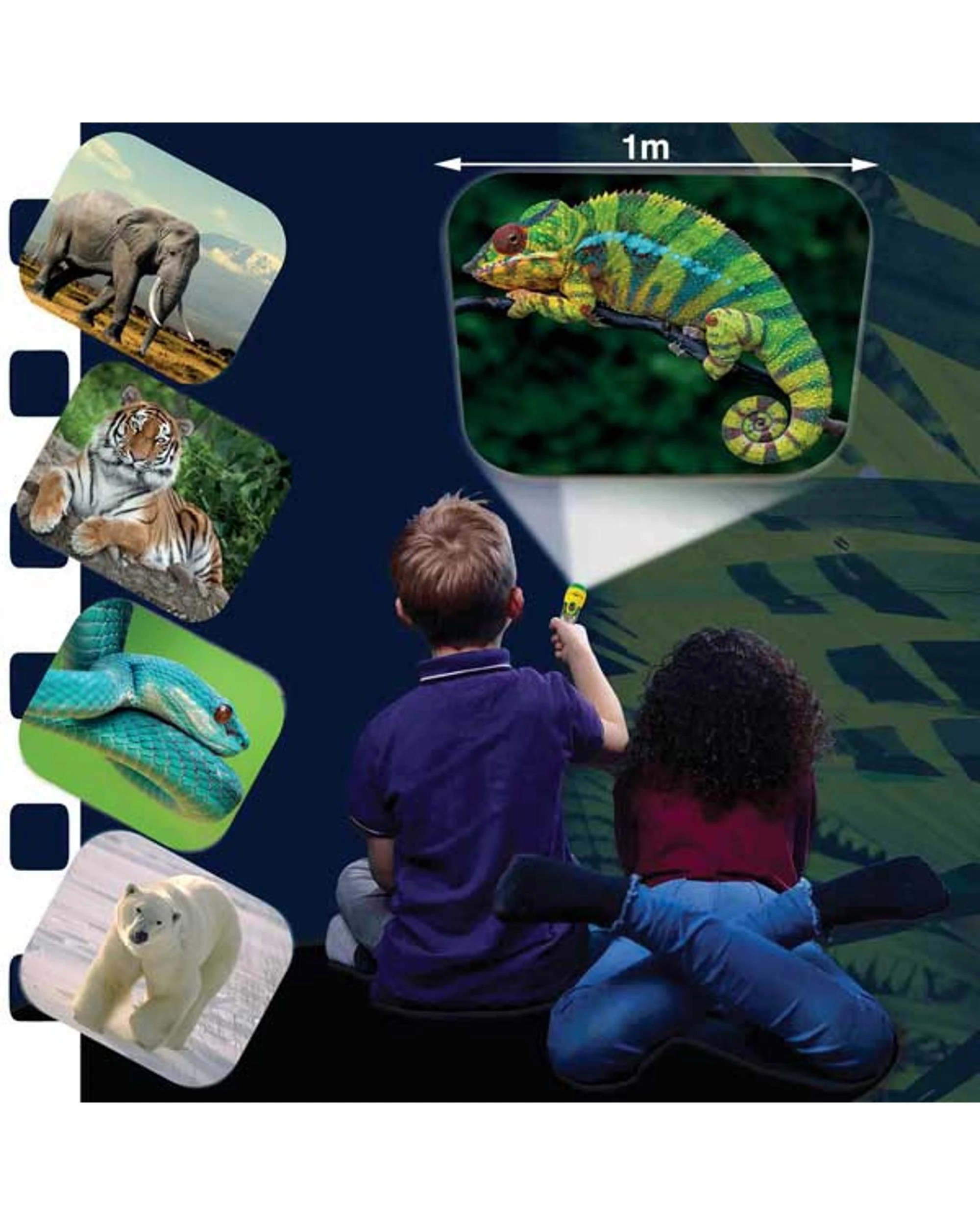Brainstorm Toys Animal Torch and Projector - Kmart