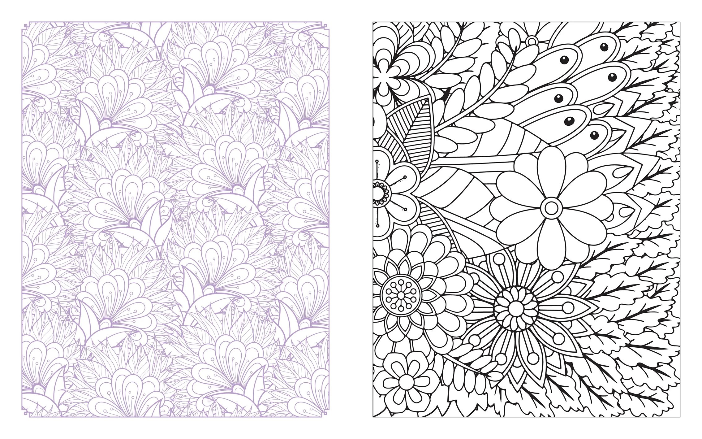 2 Wildflowers in Bloom Colouring Book, 2 of 4
