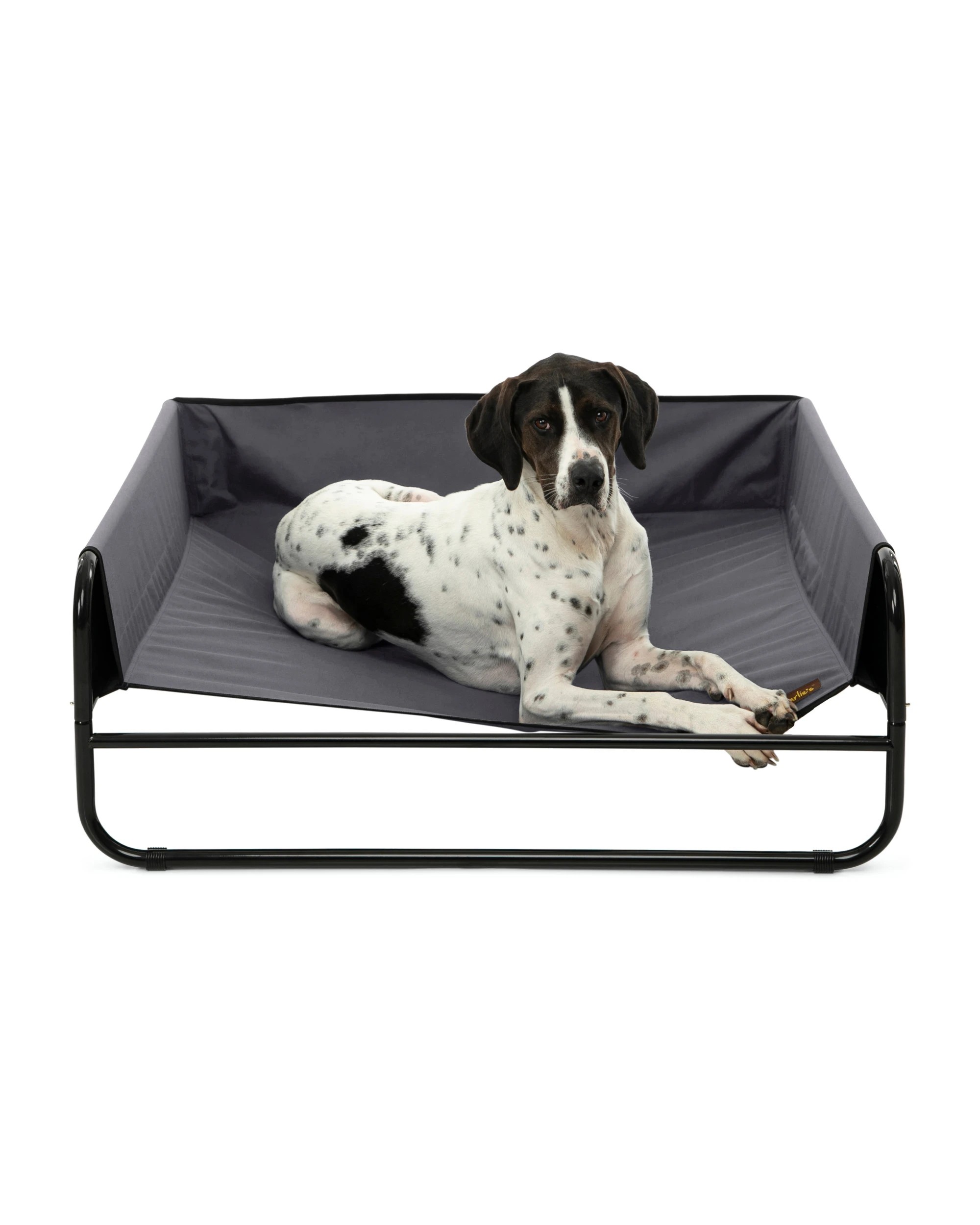1 Charlie's High Walled Outdoor Trampoline Dog Bed Small - Grey, 1 of 5