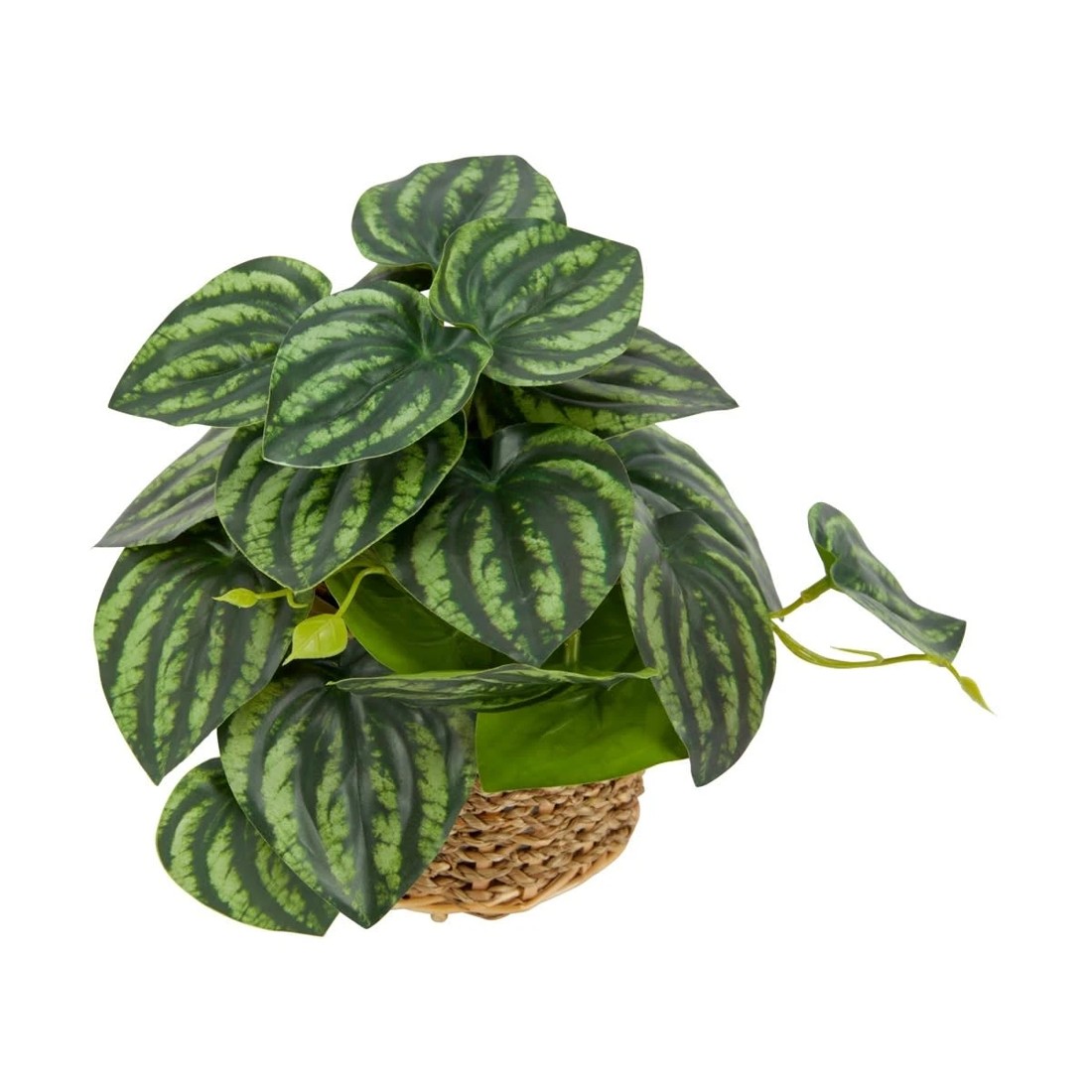 2 Artificial Stripe Leaf Plant in Basket, 2 of 4