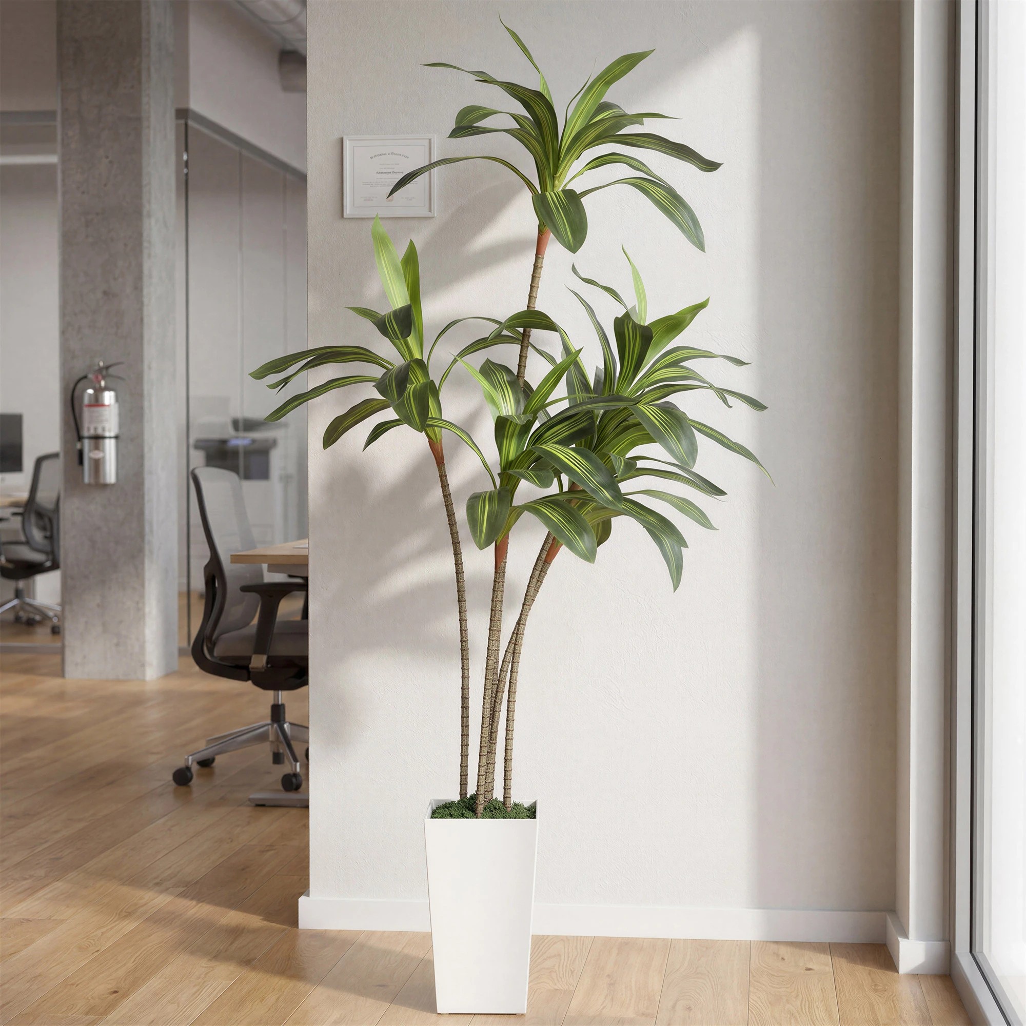 8 Lambu 6Ft Artificial Dracaena Tree With Tall Pot - White, 8 of 9