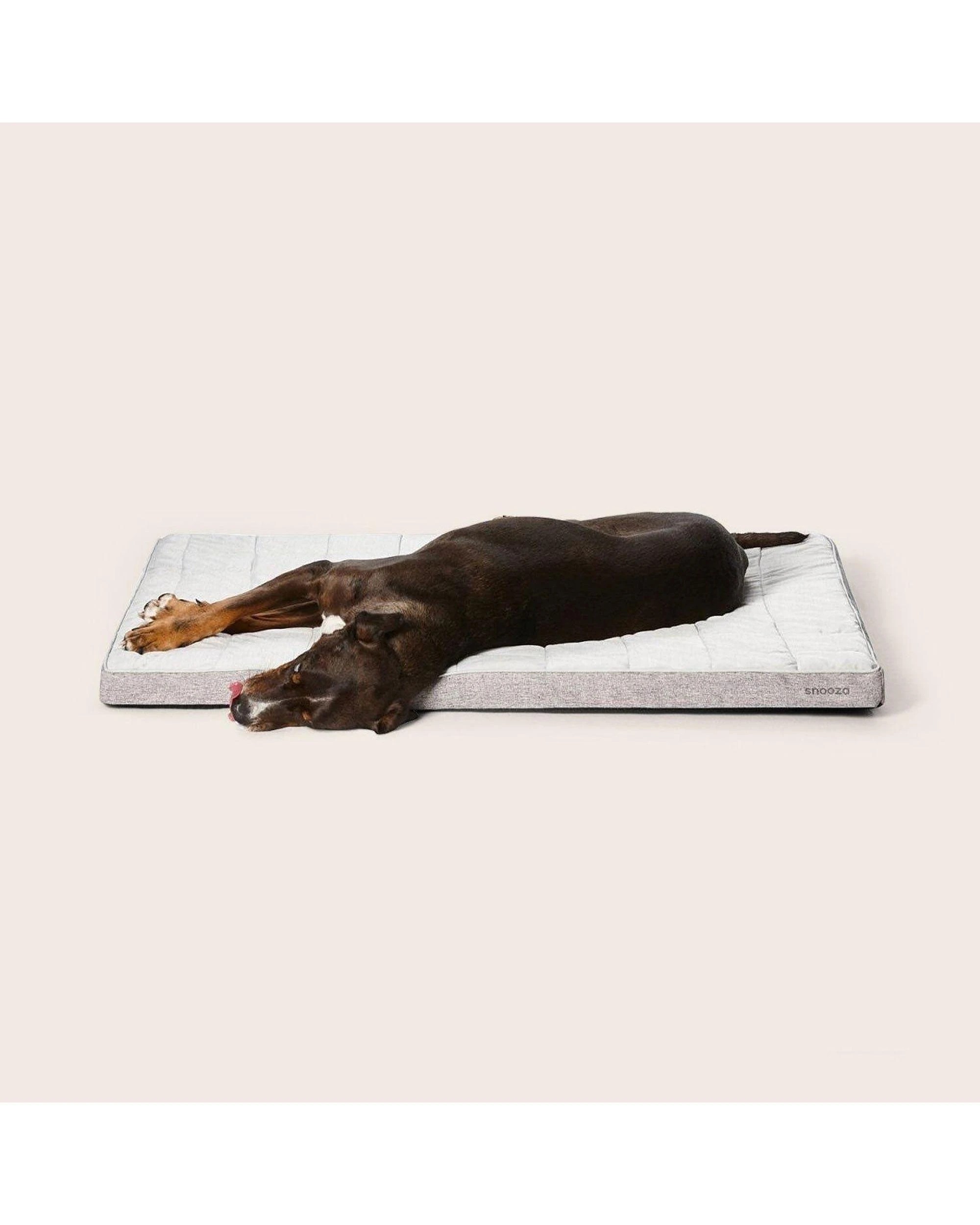 5 Snooza Cooling Comfort Orthobed Cosy Pet Dog Bed Powder Grey Large, 5 of 6