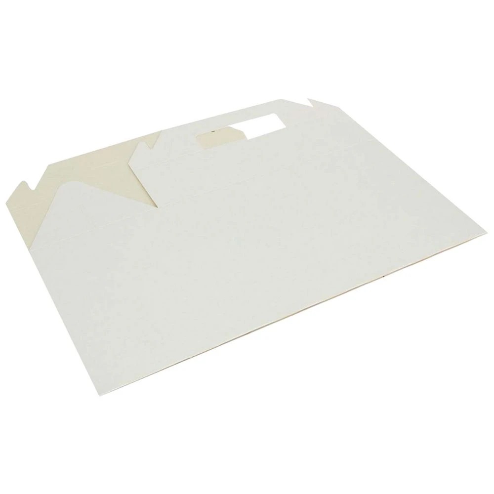 5 Colpac Large Carry Pack White 25 Pack, 5 of 5