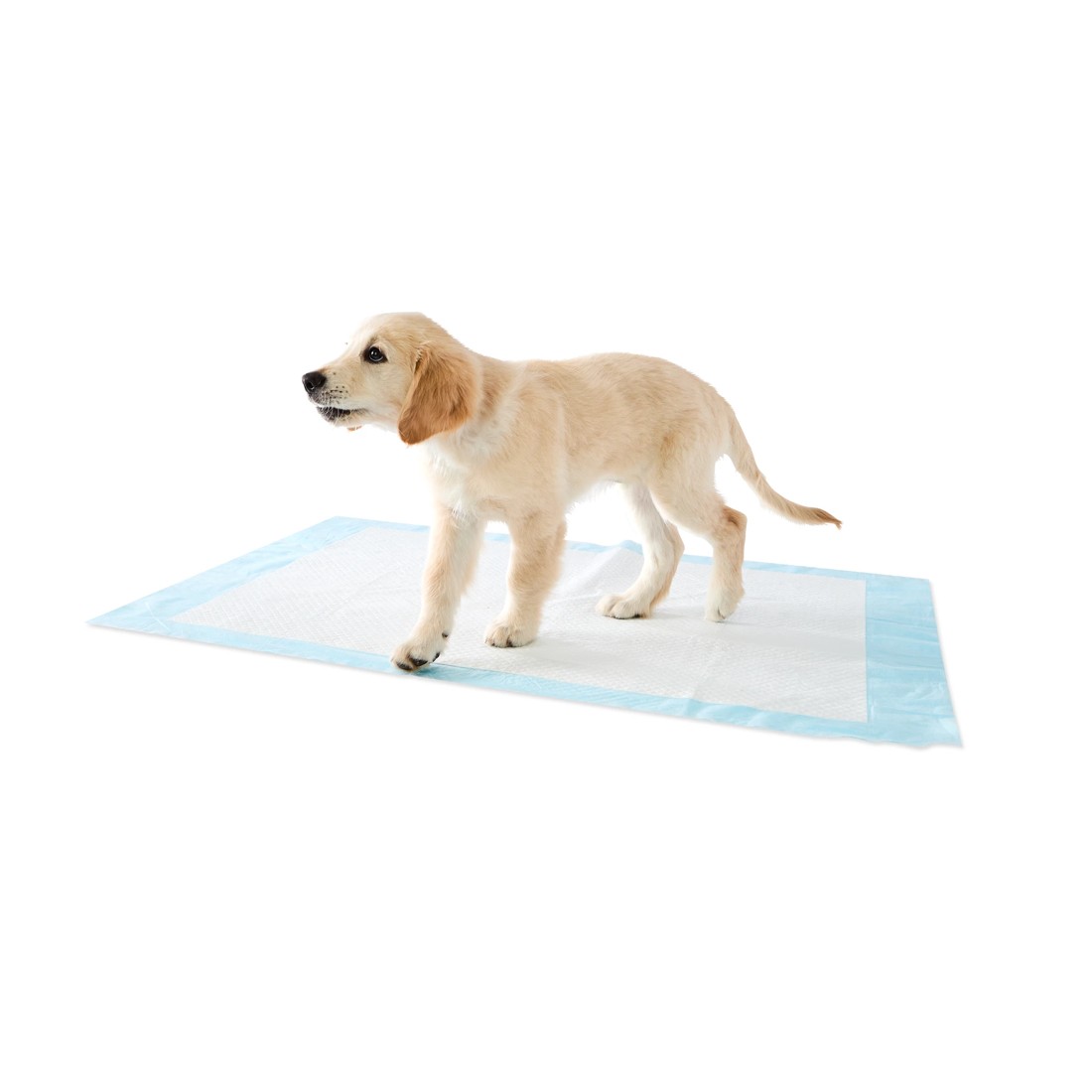 1 15 Pack Puppy Extra Large Training Pads, 1 of 8