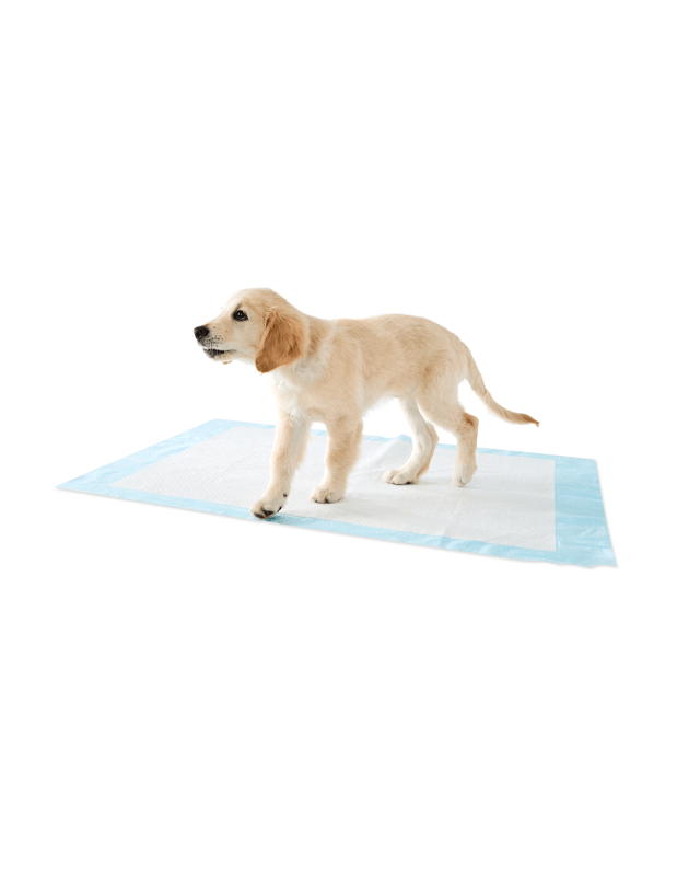 15 Pack Puppy Extra Large Training 