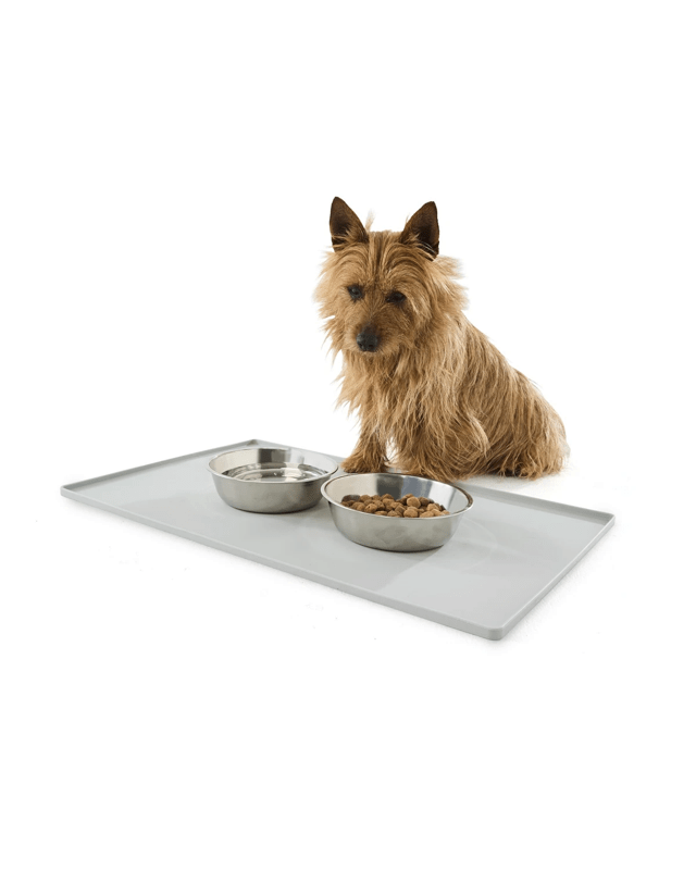 Pet Meal Mat - L