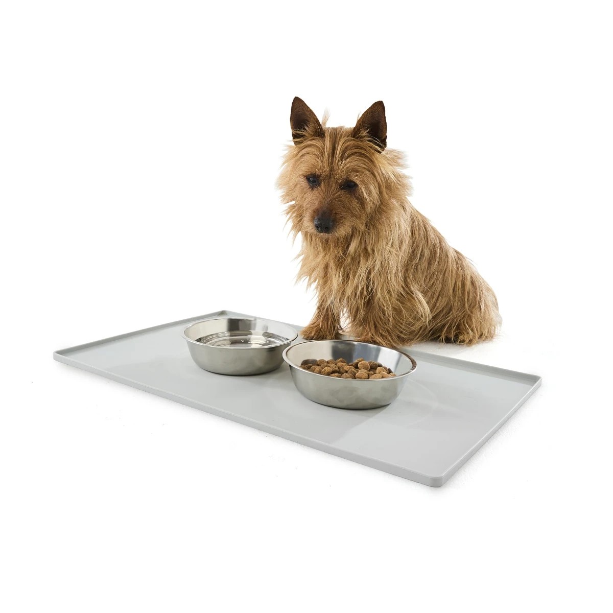 1 Pet Meal Mat - Large, 1 of 6