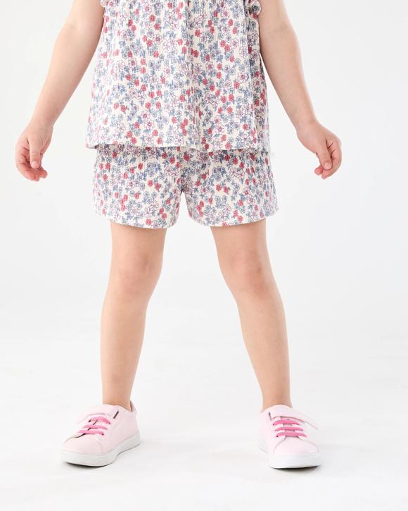 Print Crinkle Shorts