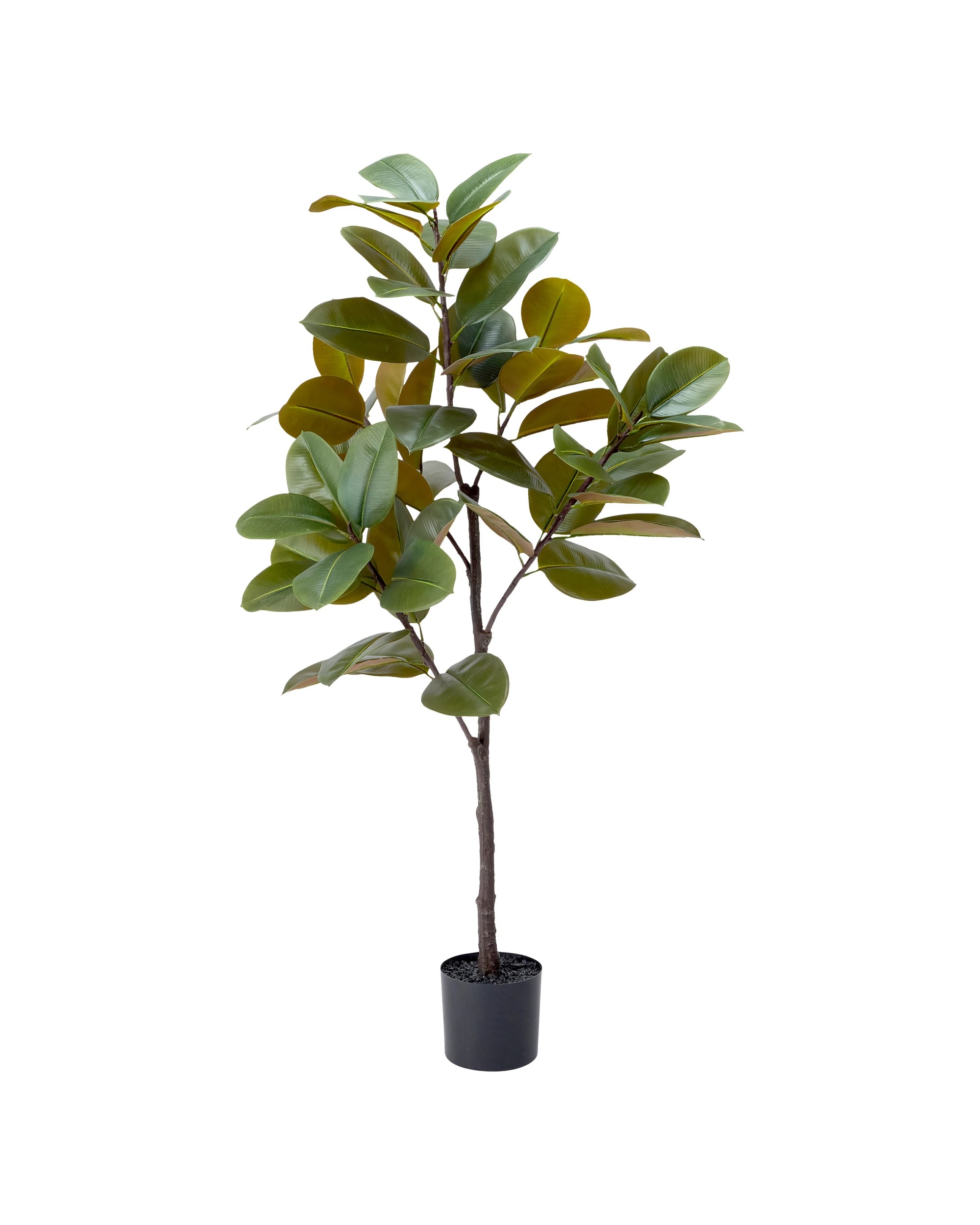 1 Extra Large Artificial Rubber Tree, 1 of 3