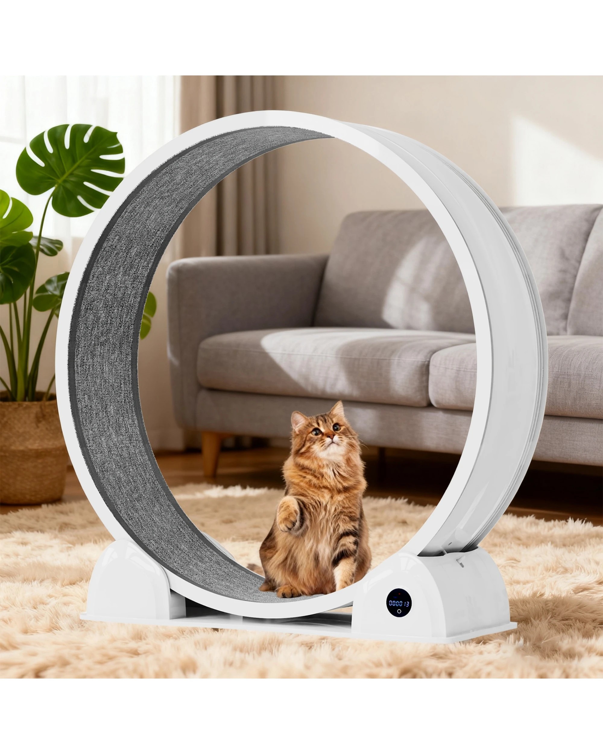 3 Advwin Cat Exercise Wheel Pet Treadmill Running Exerciser, 3 of 7