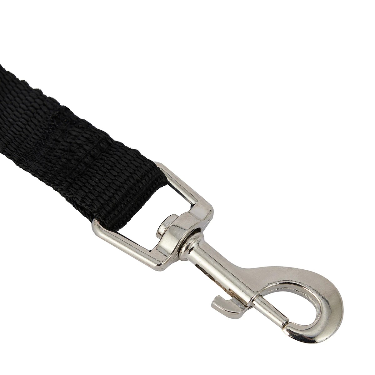 2 Pet Recall Training Lead, 2 of 5