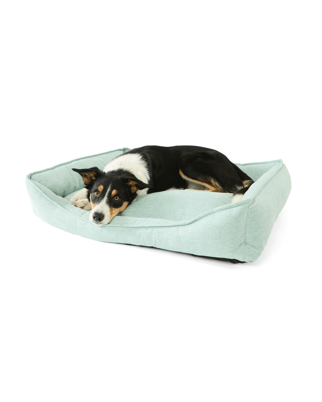 2 Pet Bed Lounge - Sage, Large, 2 of 8
