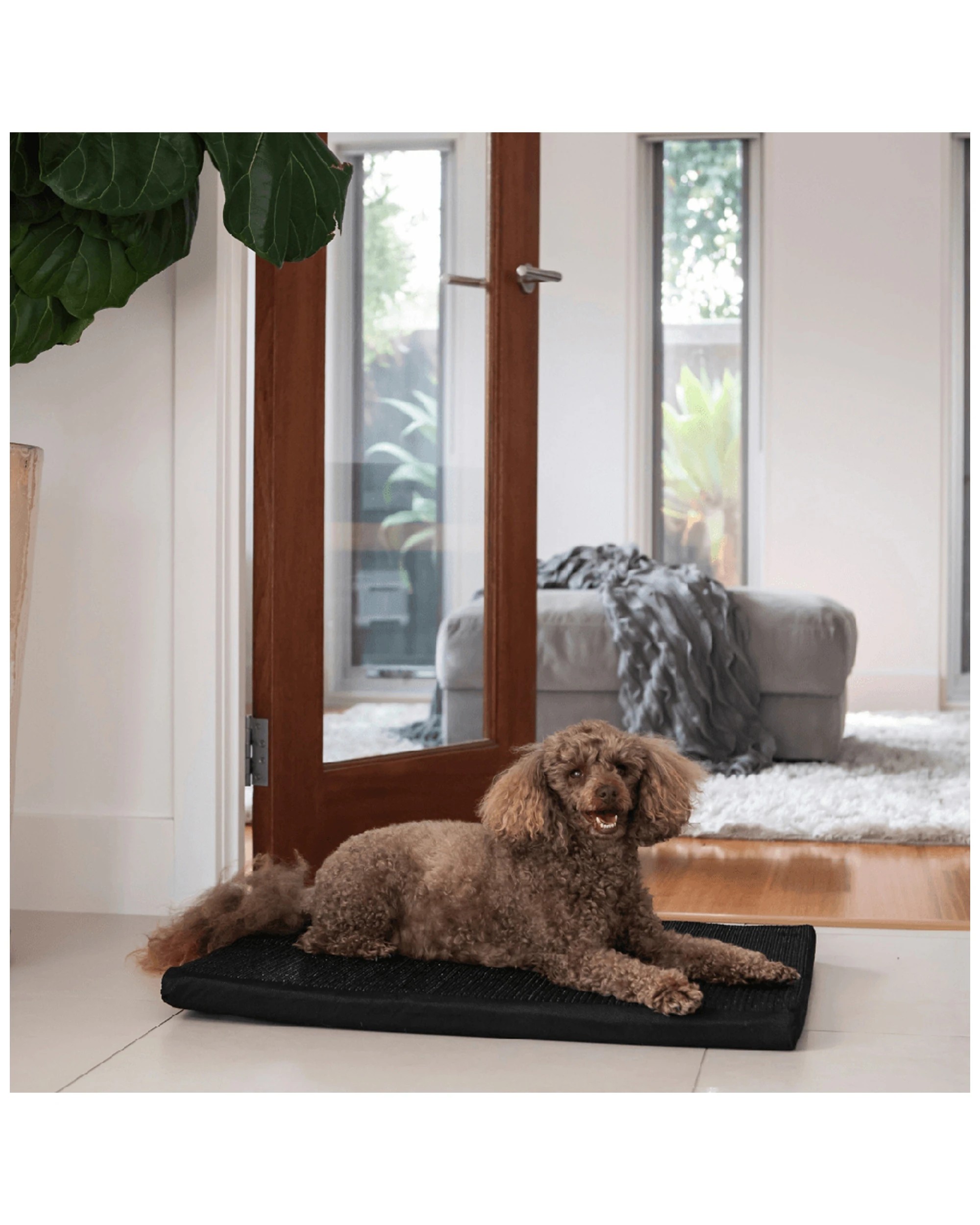 2 Superior Pet Essentials Dog Mat Mini Flea-Repellent - Washable - 54 x 4 x 70 cm - Black, 2 of 3