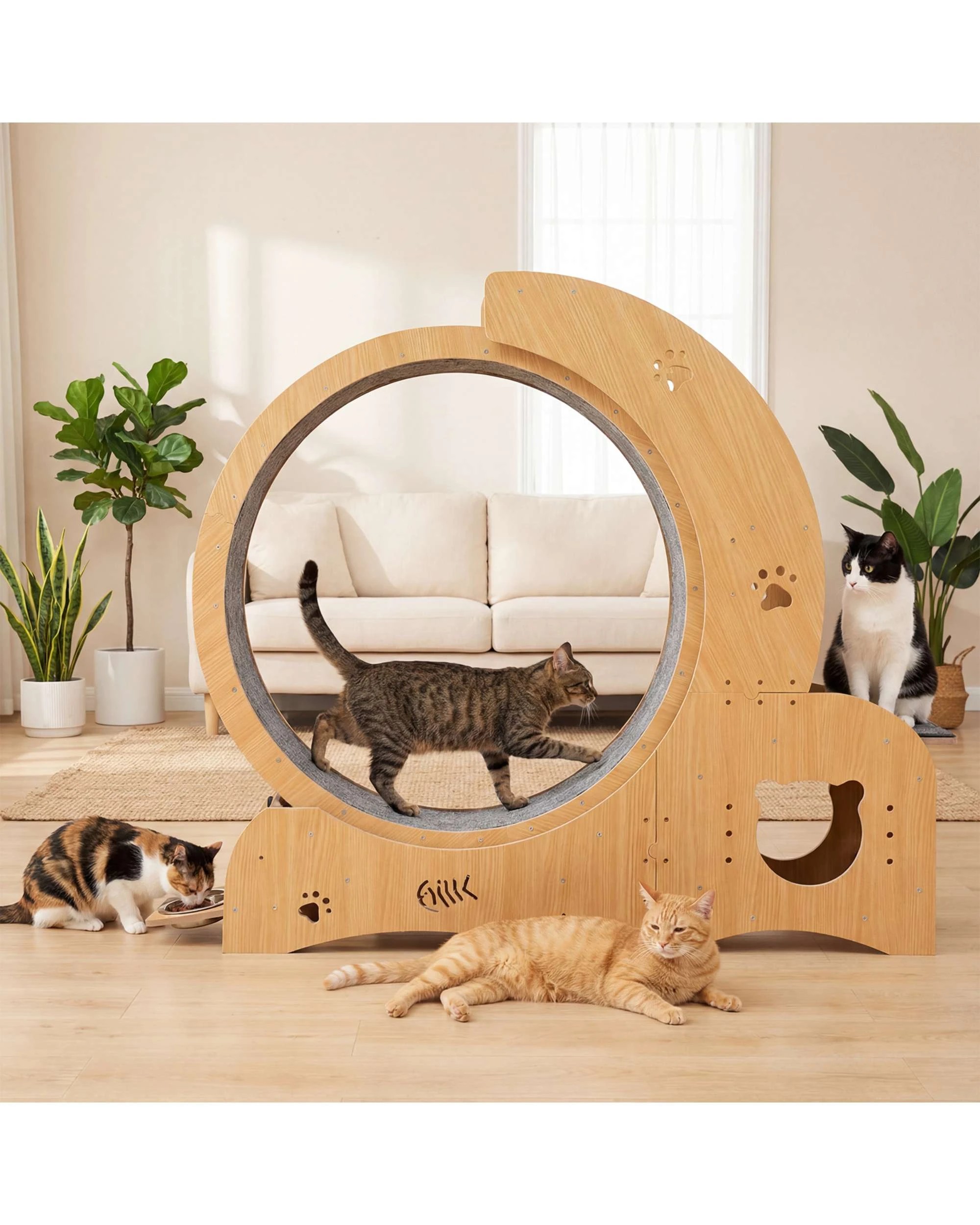 2 Advwin All-in-one Cat Exercise Wheel Cat Treadmill, 2 of 9