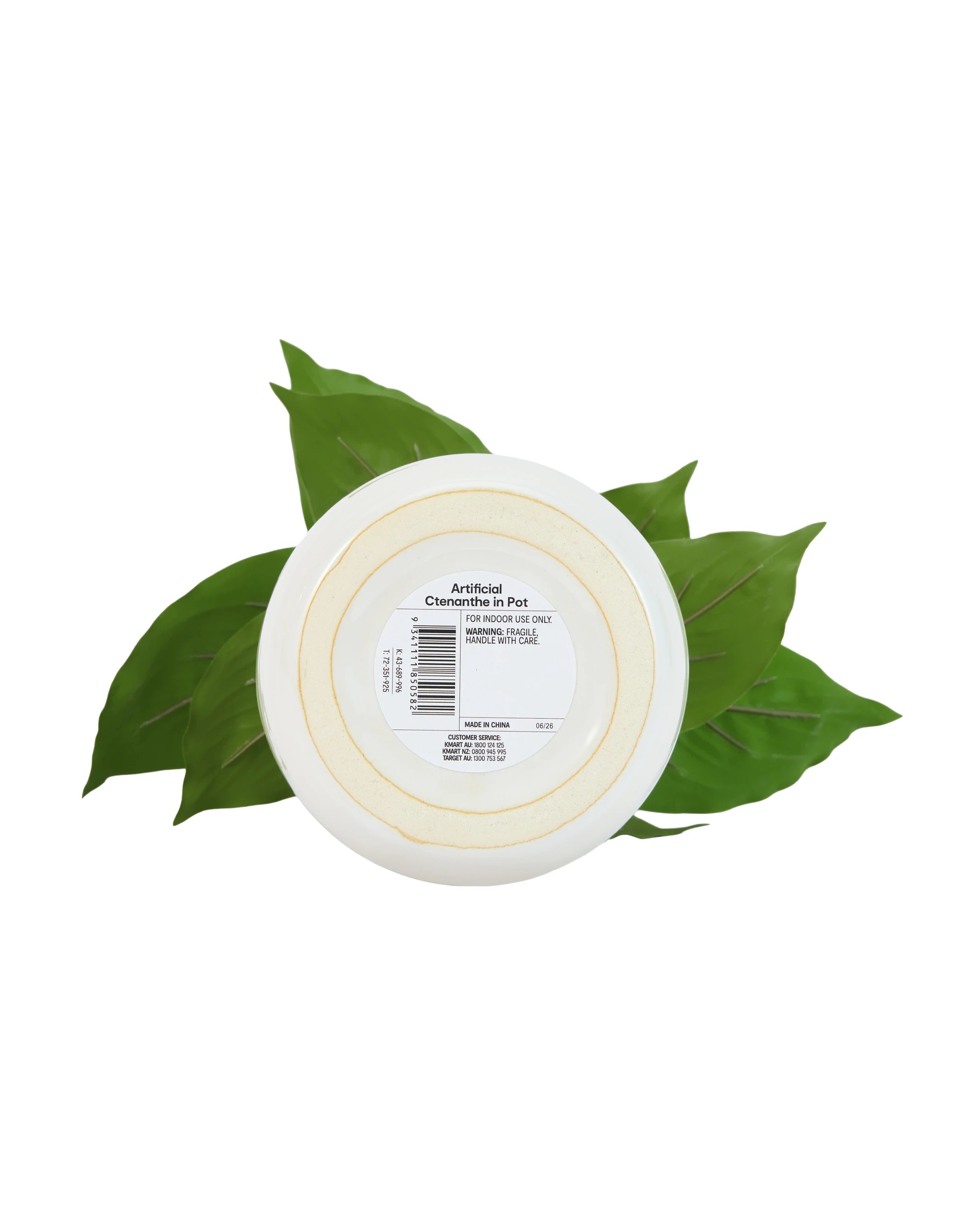 3 Artificial Ctenanthe in Pot, 3 of 3