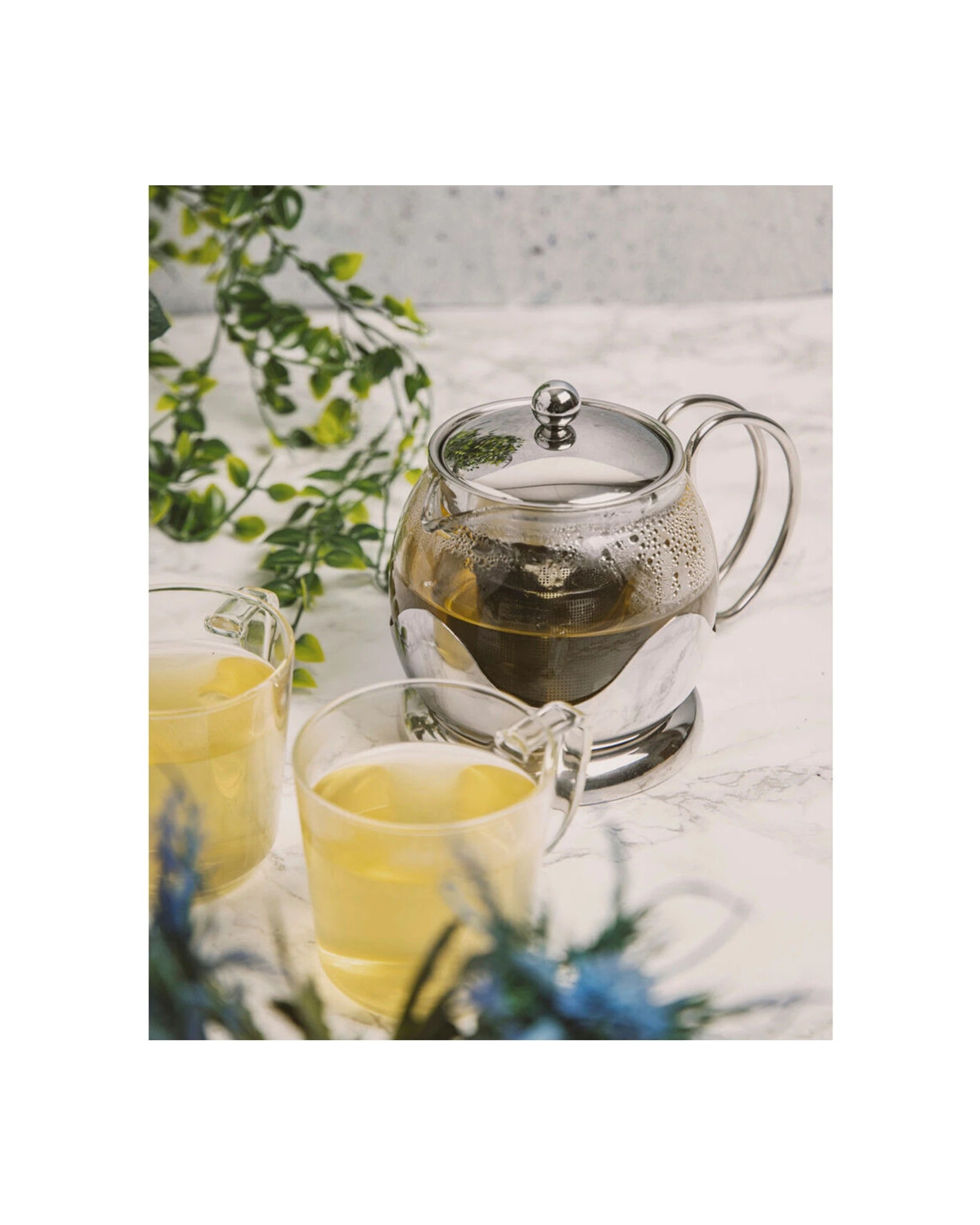 2 La Cafetiere 17.5cm 660ml Izmir Glass Teapot With Stainless Infuser - Silver, 2 of 6