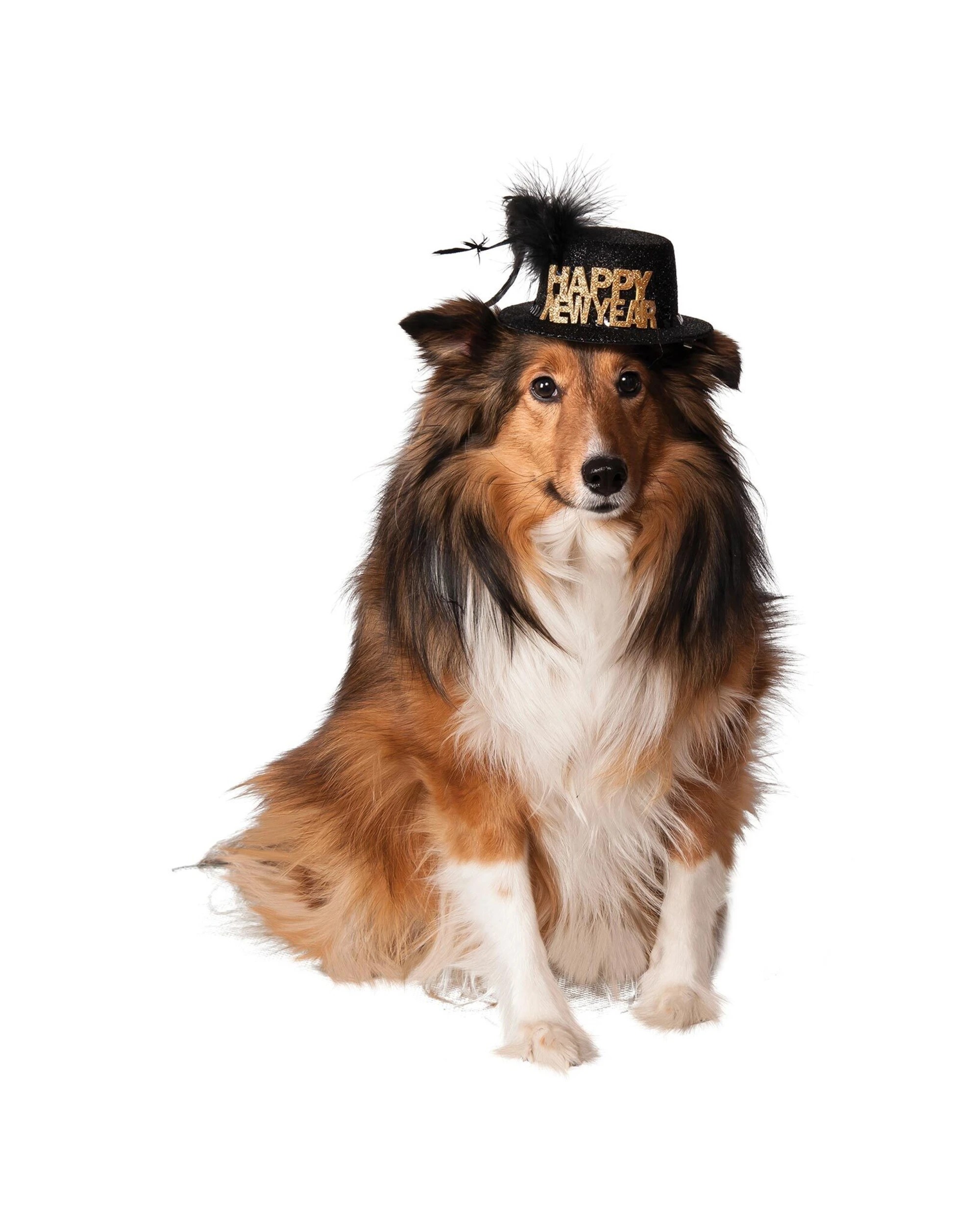 1 Rubies Happy New Year Party Pet Hat Dog Cat Size M L - Black, 1 of 1