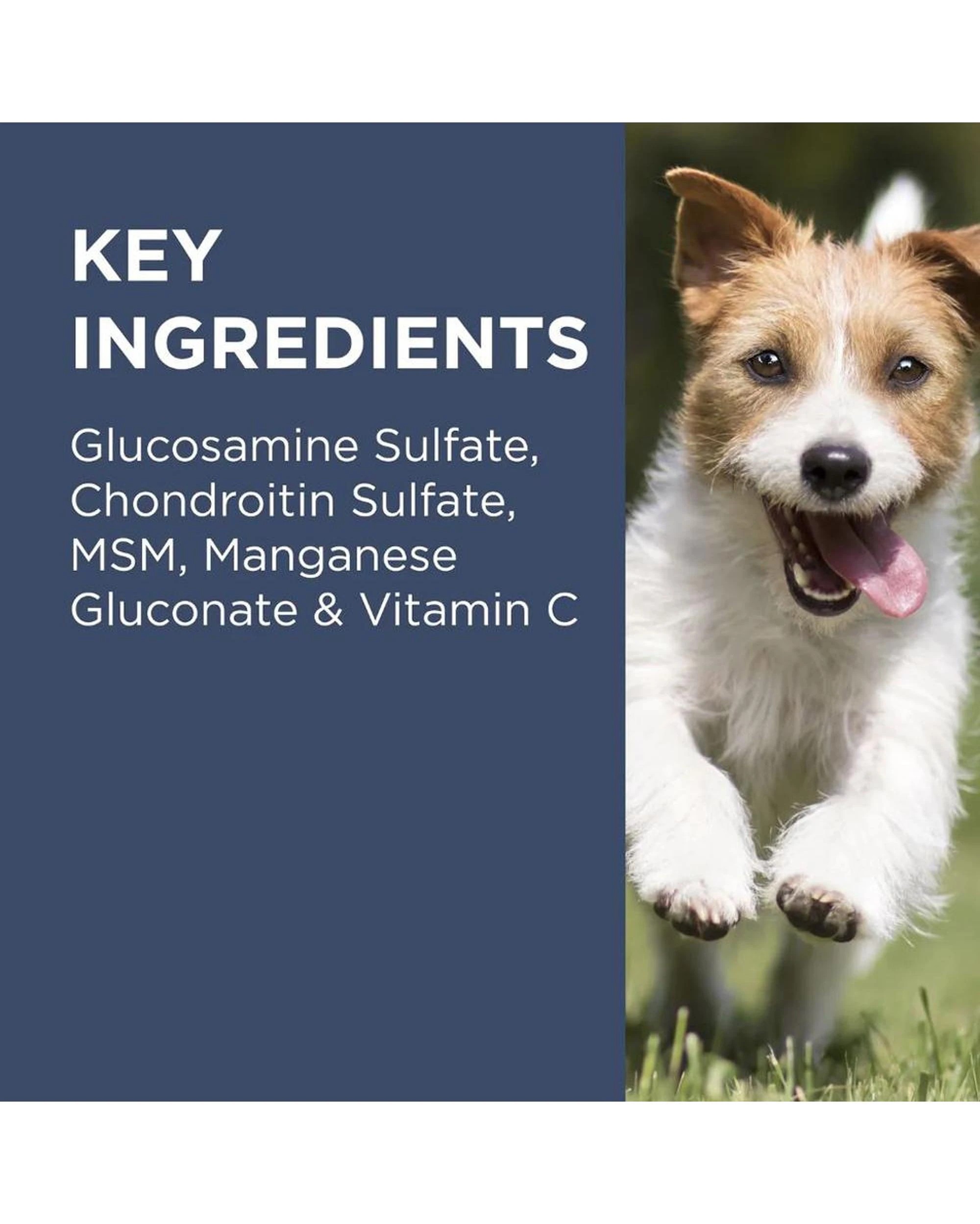 5 Paw Osteocare Chews For Dogs - 500gm 100's, 5 of 6