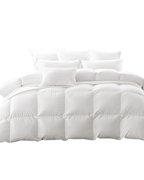 Dreamz 500 Gsm Medium Warmth Quilt - Queen Bed