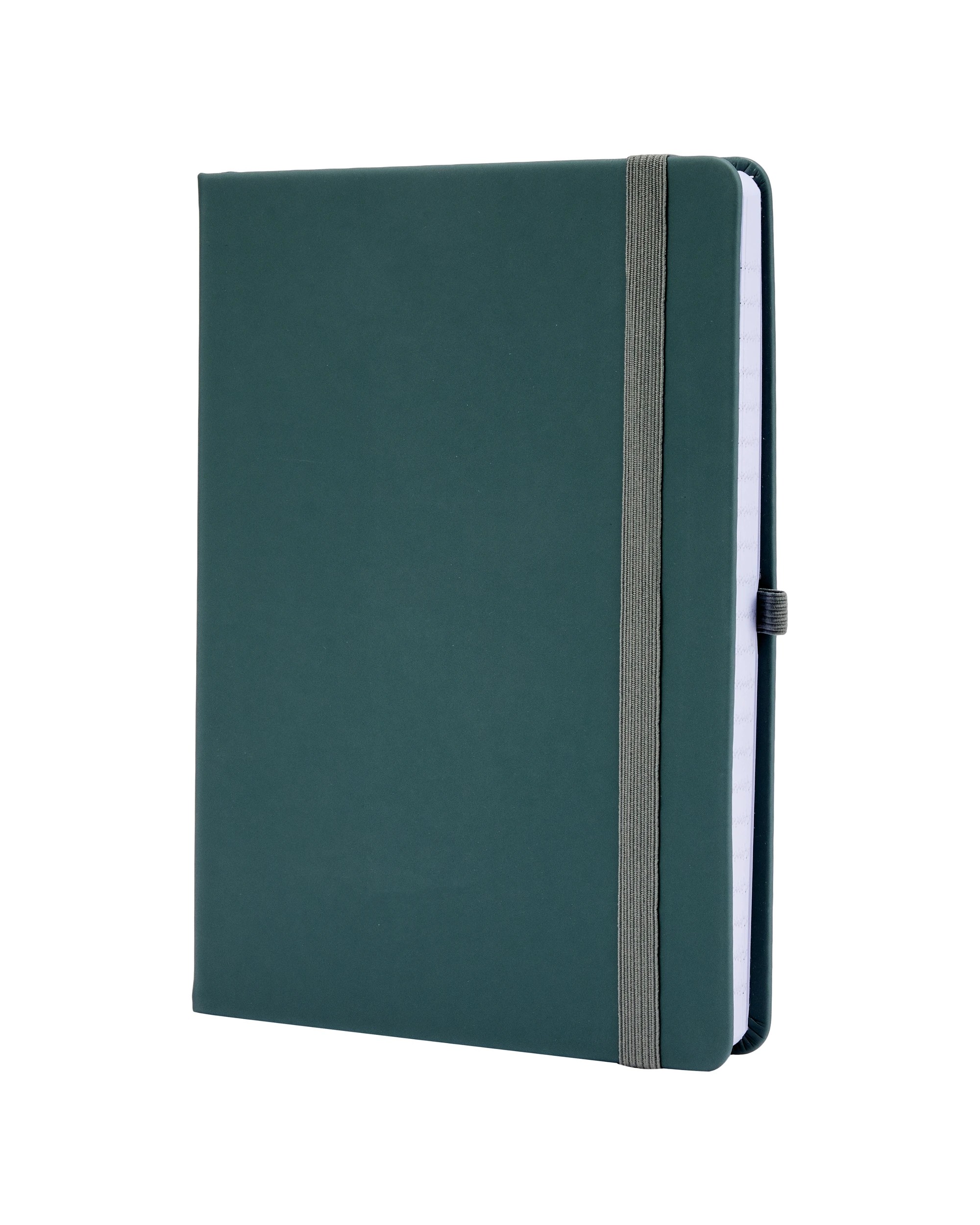 3 A5 Journal Sage Hard Cover 80gsm 240 Pages, 3 of 5