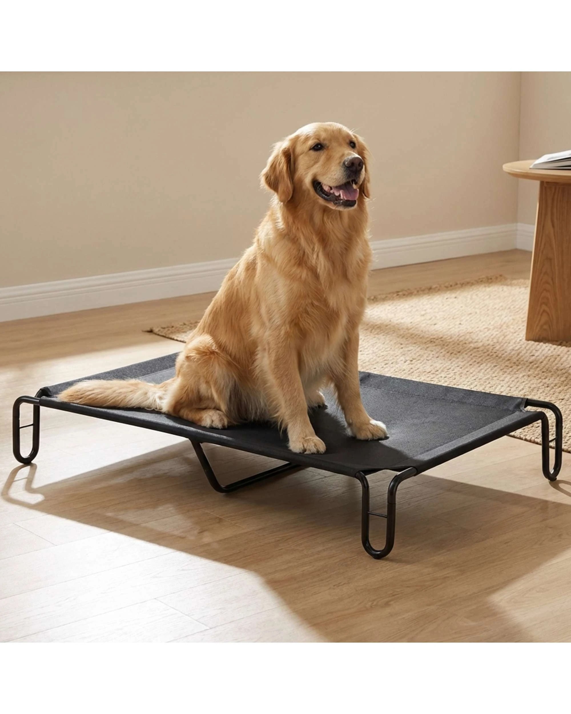 2 Advwin Elevated Pet Bed, 2 of 8
