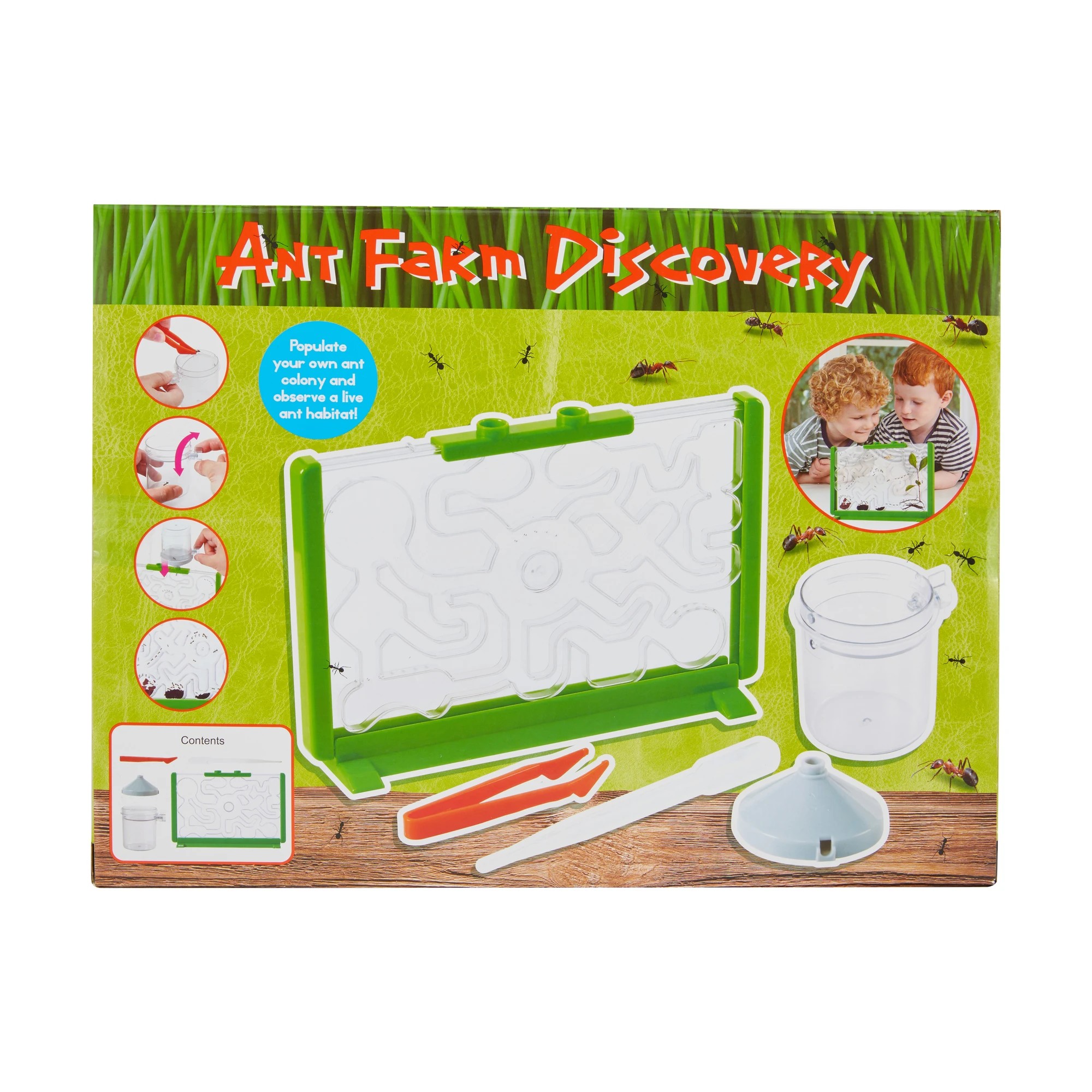 8 Ant Farm Discovery, 8 of 9