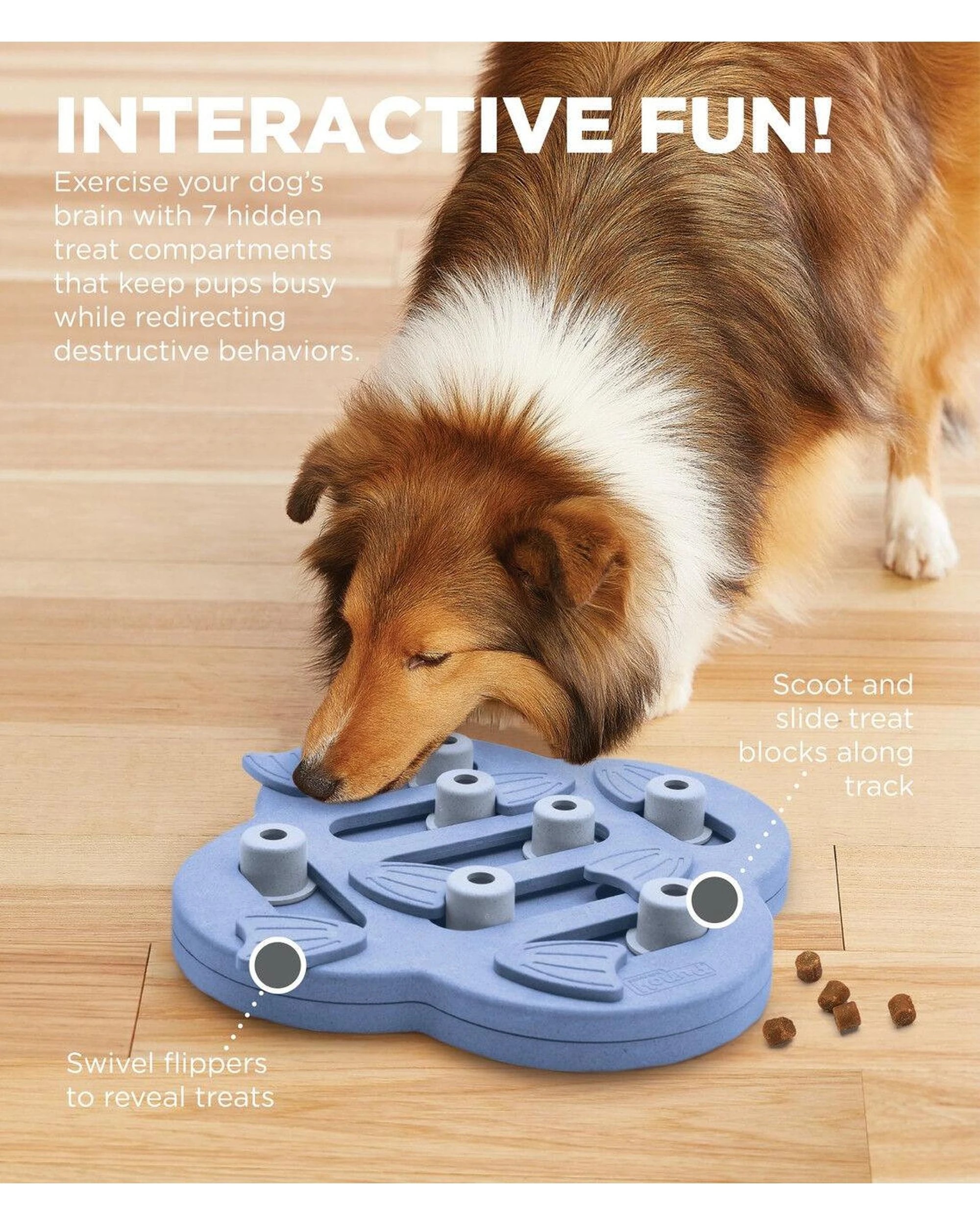 4 Outward Hound Nina Ottosson Dog Hide N Slide Puzzle Game Dog Toy Purple - Purple, 4 of 8