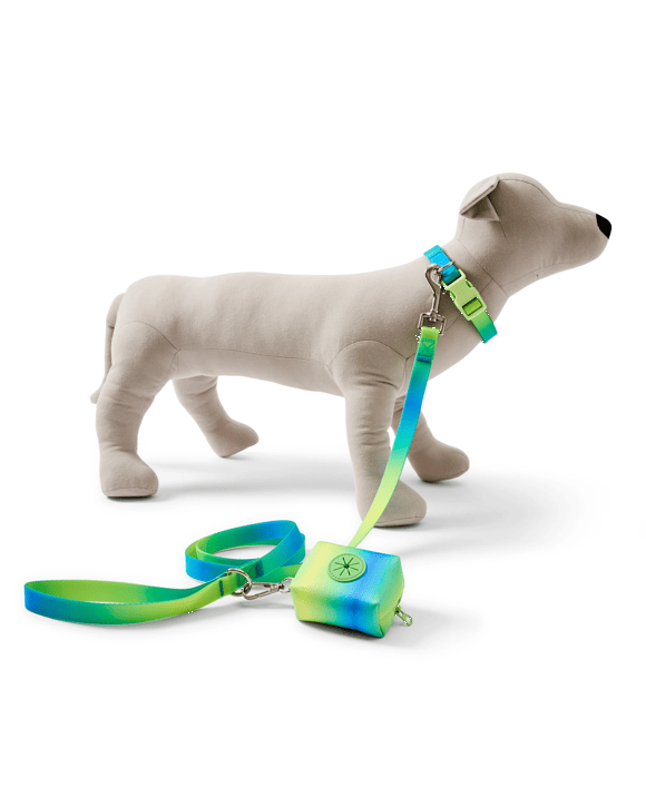 Pet Ombre Walking Set - Large