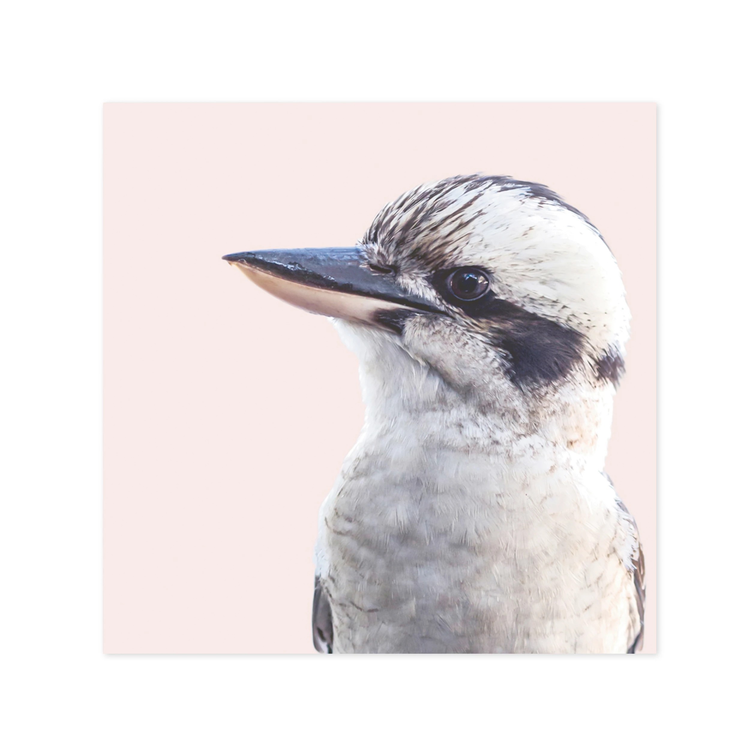 2 Hallmark Greeting Card - Kookaburra, 2 of 2