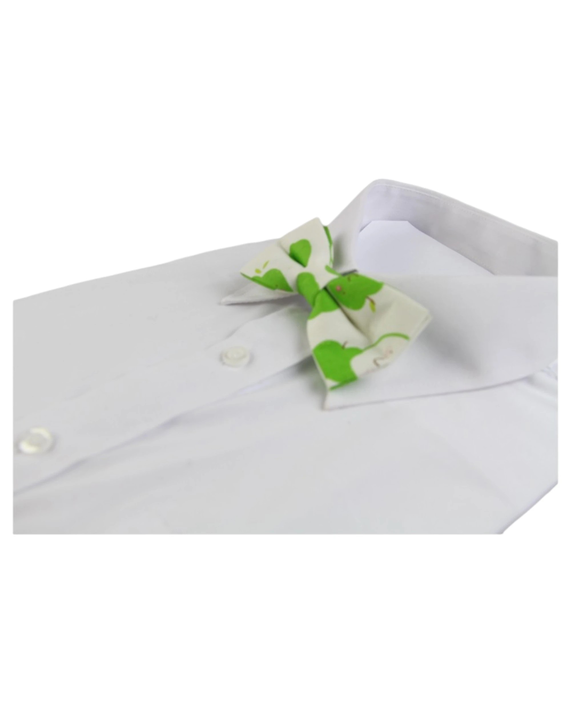1 Zasel Boys Green Apple Fruit Patterned Bow Tie - Multi, 1 of 2