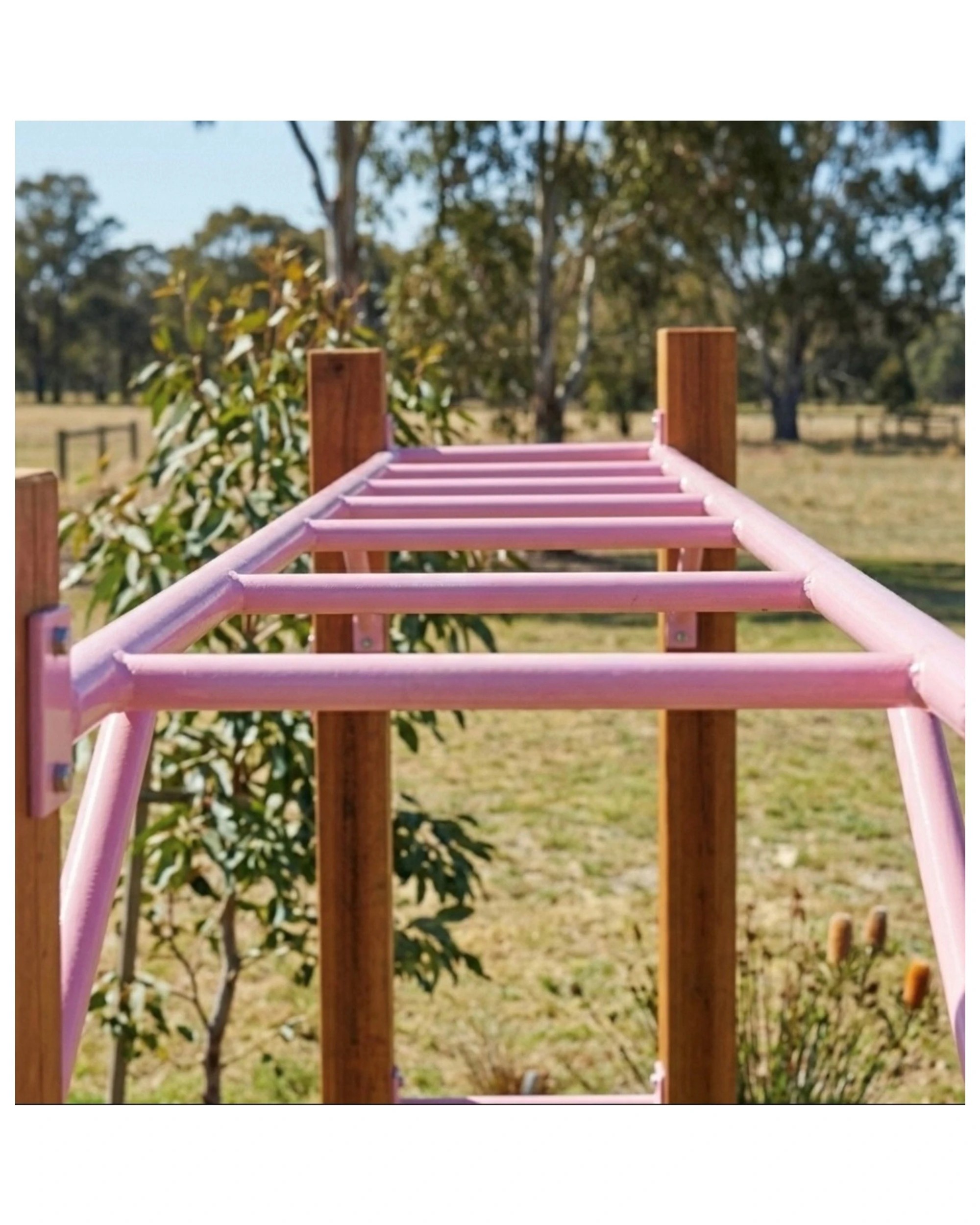 2 Hide & Seek Kids Monkey Bars - Adjustable Height - Baby - Pink, 2 of 4