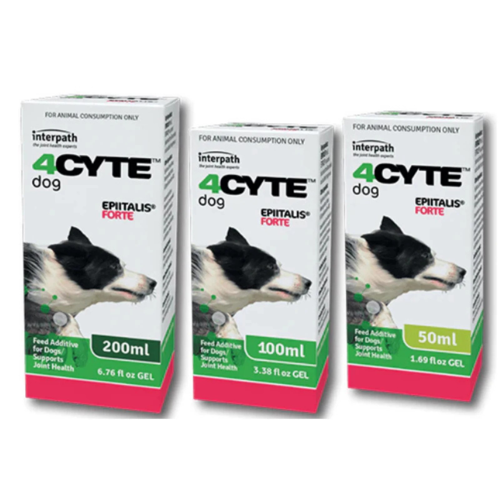 2 4cyte Epiitalis Forte Gel For Dogs - 100ml, 2 of 2