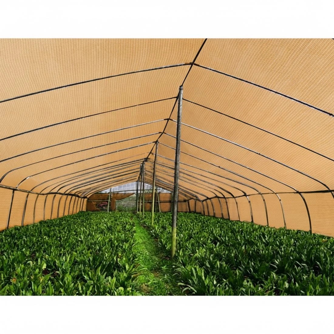 6 Instahut 90% Shade Cloth 1.83x20m Shadecloth Sail Heavy Duty - Beige, 6 of 7