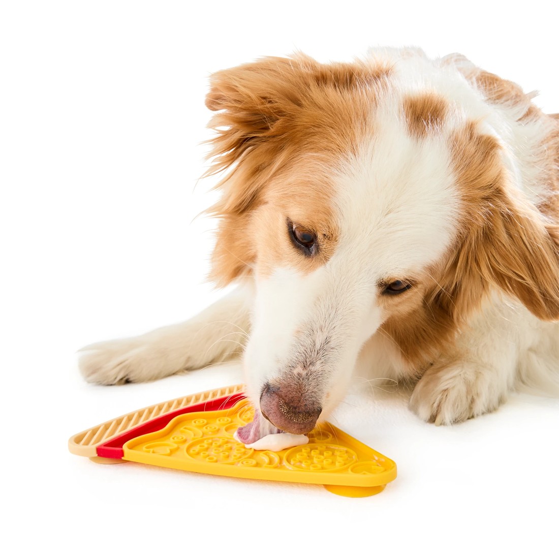 2 Novelty Pet Lick Mat - Assorted, 2 of 10