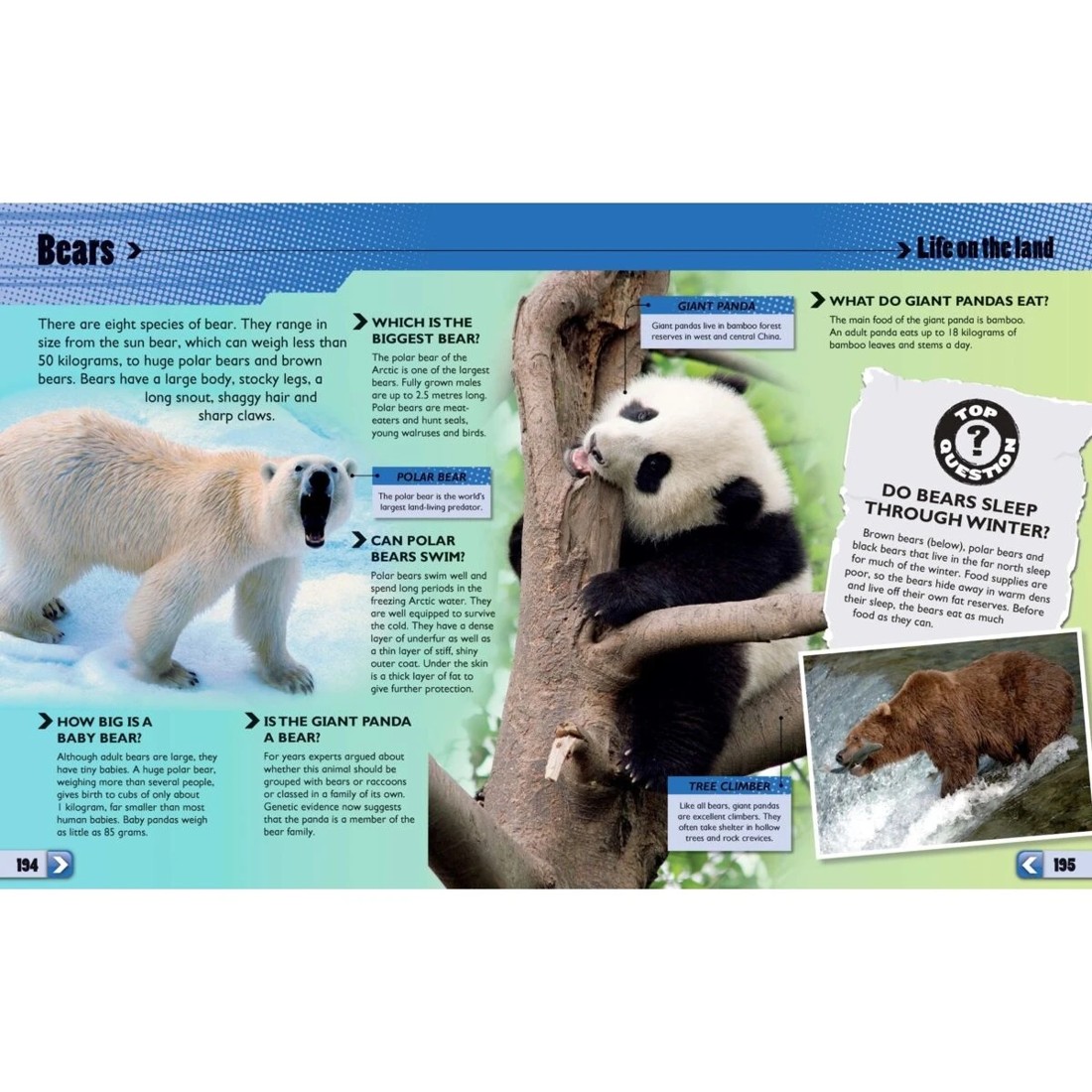 2 1001 Questions and Answers About Absolutely Everything - Book, 2 of 3