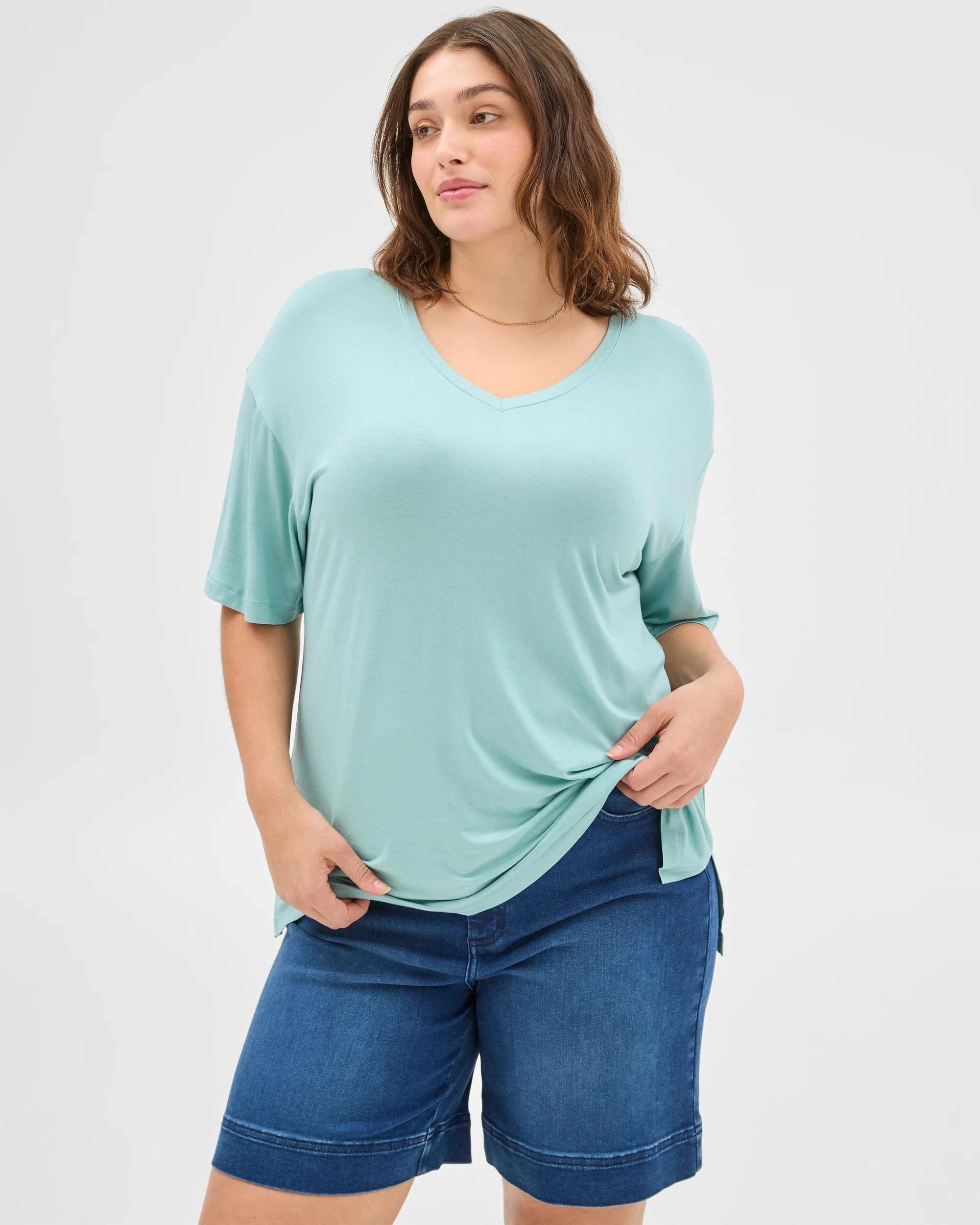 1 Target Plus Size V-Neck T-Shirt AQUIFER, 1 of 6