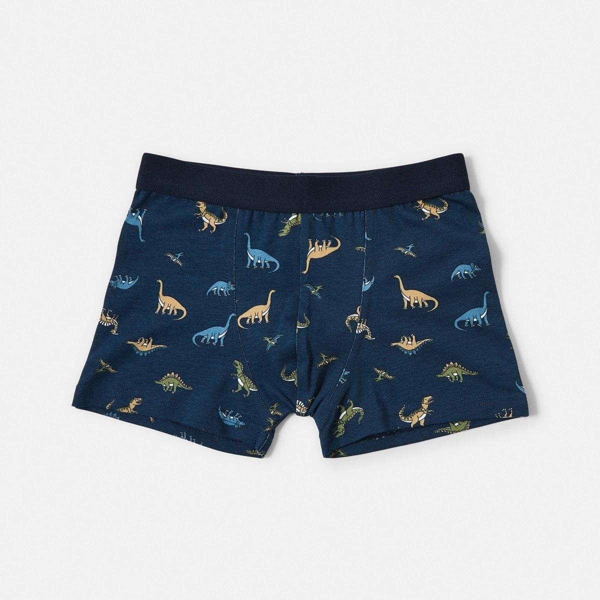 4 5 Pack Print Trunks DINOS, 4 of 7