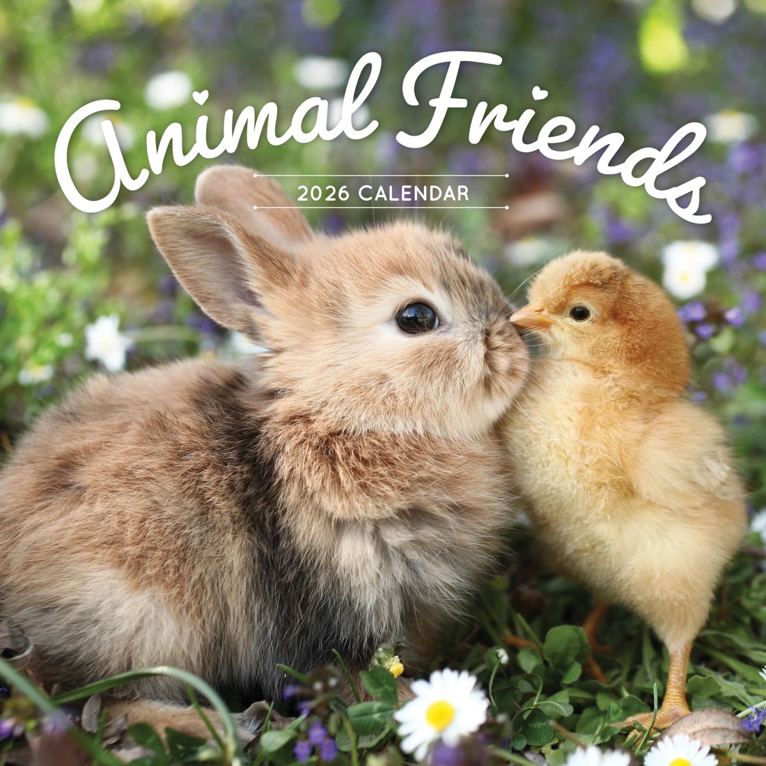 1 Animal Friends 2026 Calendar, 1 of 1