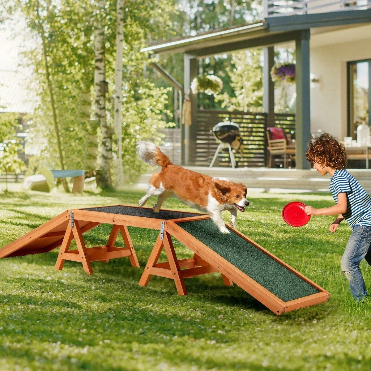 2 Pet Scene Dog Agility Ramp Toy Pet Obedience Training Equipment, 2 of 5