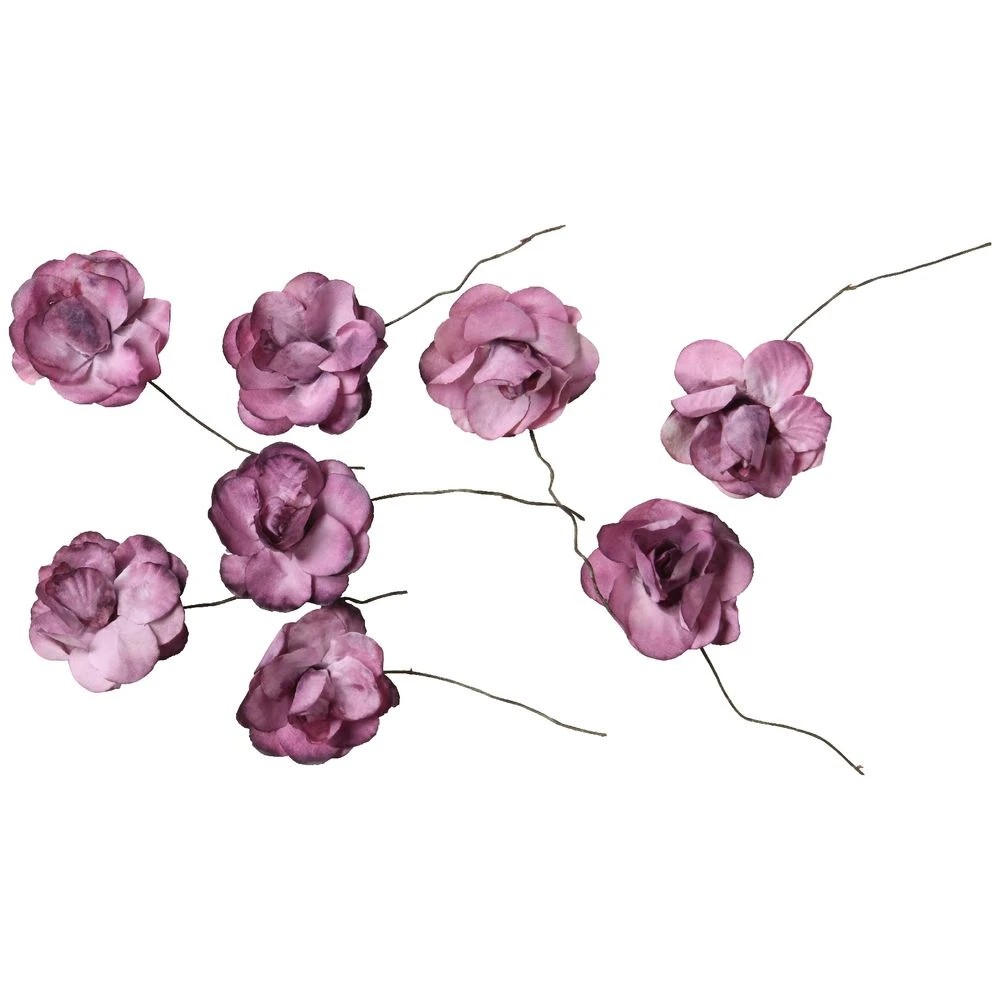 2 Born Large Roses Dusty Pink 8 Pack, 2 of 2