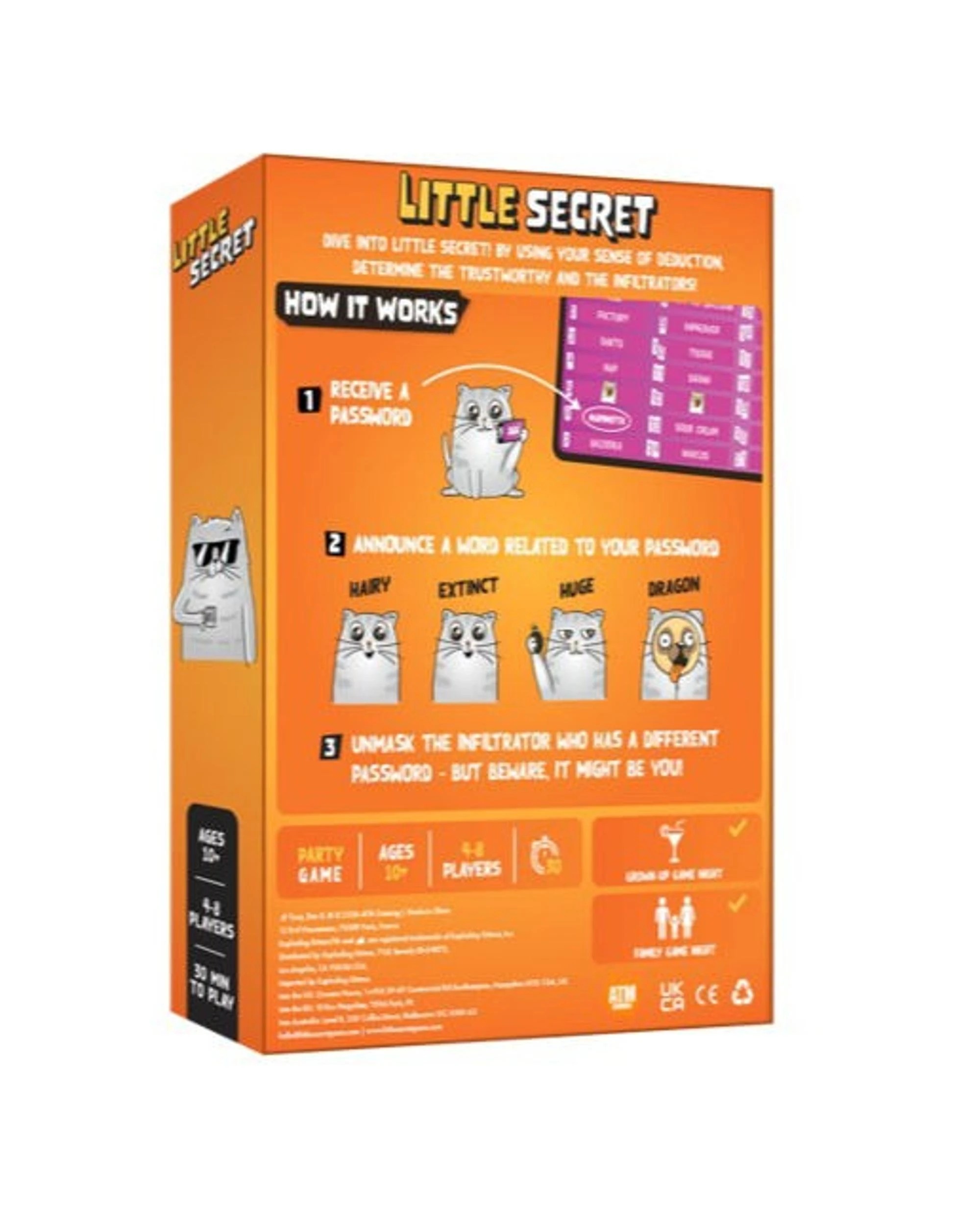 5 Little Secret Card Game, 5 of 6