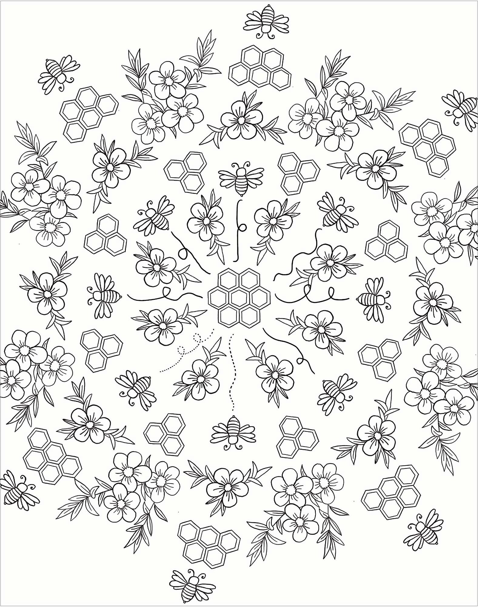 5 Colour-Your-Own Gallery Wall Art: Bugs - Book, 5 of 5