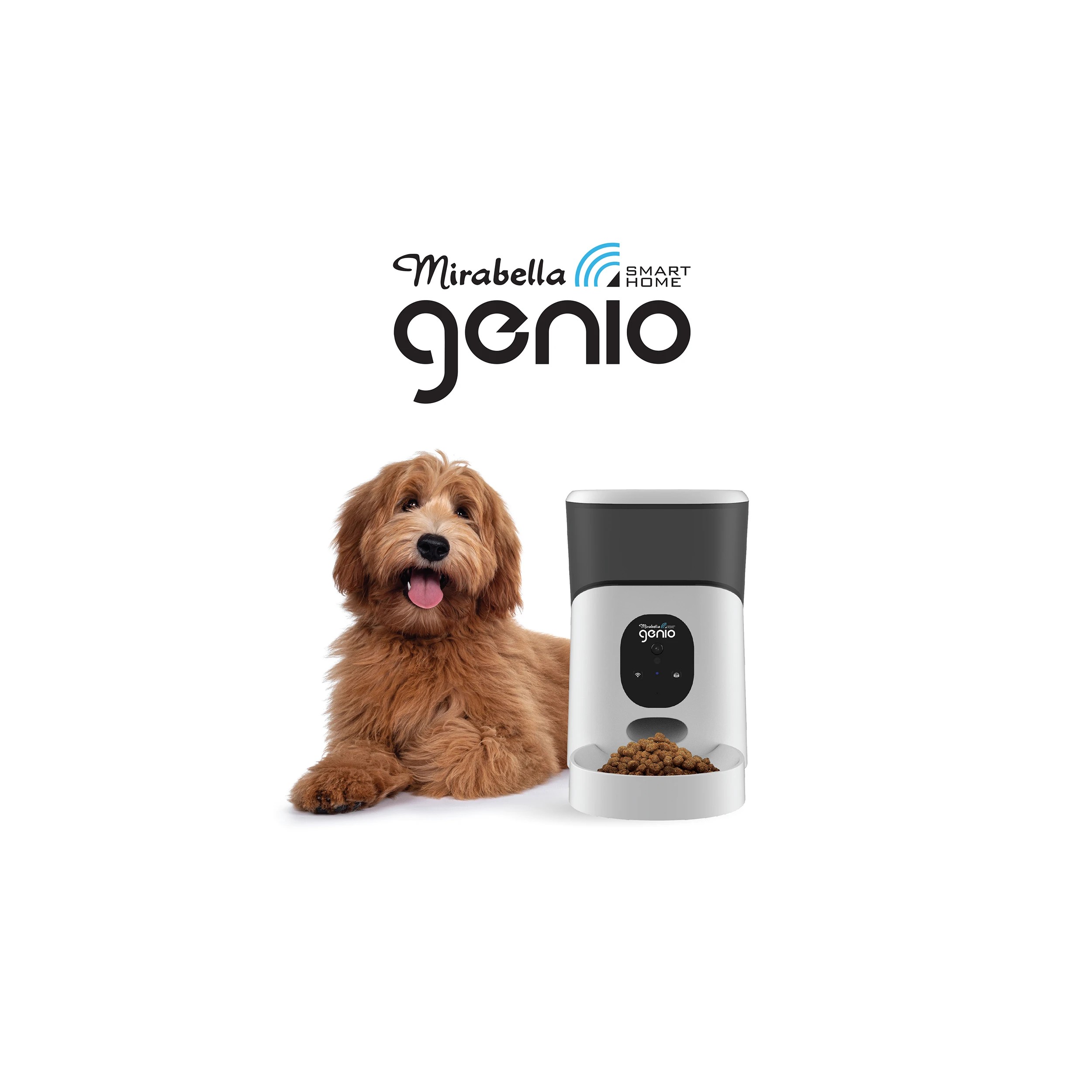 3 5L Pet Feeder with Camera, 3 of 6