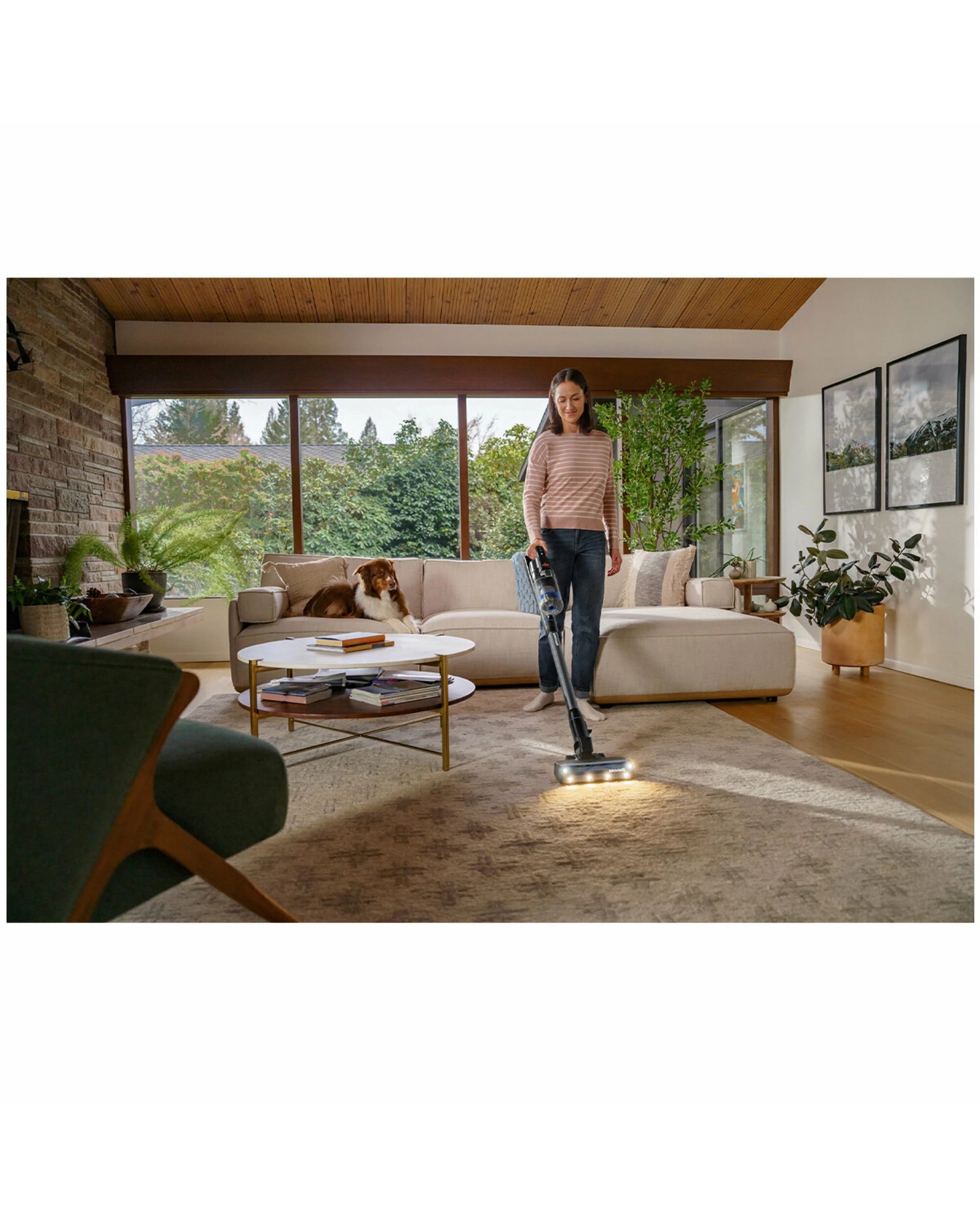 3 Bissell Powerclean FurGuard Vacuum Cleaner, 3 of 5