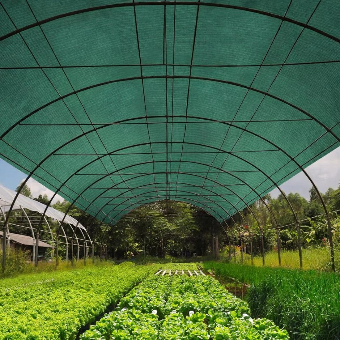 5 Instahut 50% Shade Cloth 1.83x30m Shadecloth Sail Heavy Duty - Green, 5 of 5