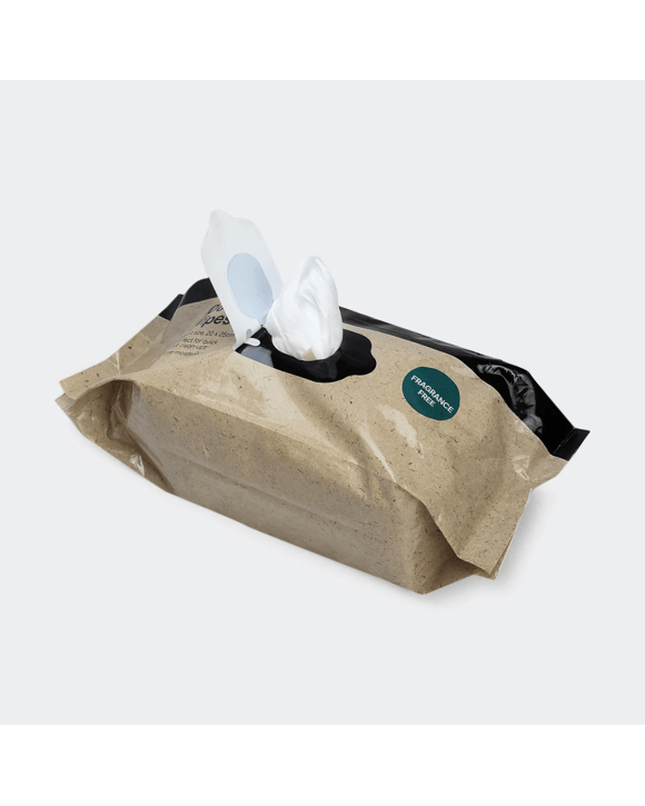 Pet Wipes 100 Pack